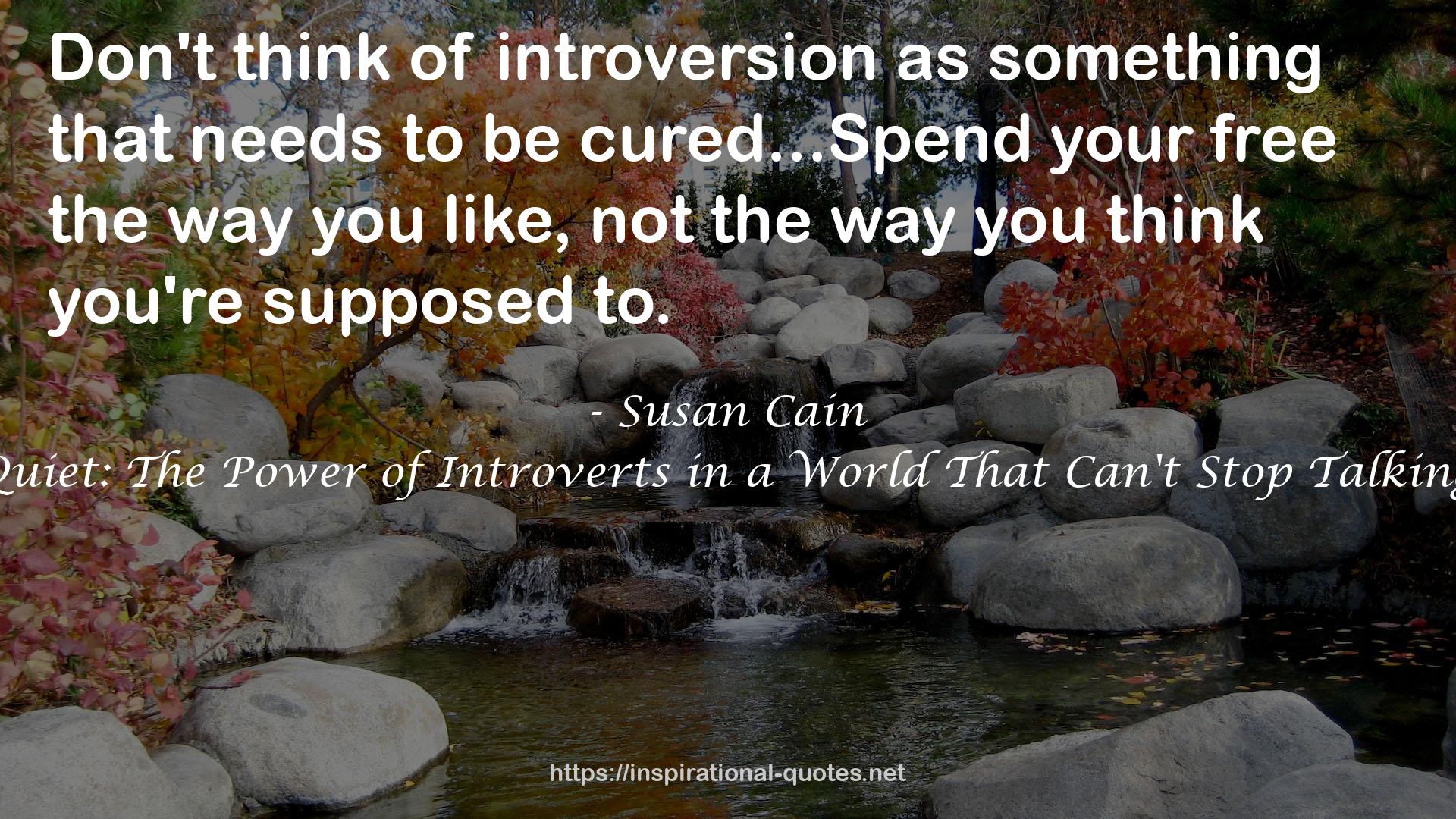 Quiet: The Power of Introverts in a World That Can't Stop Talking QUOTES