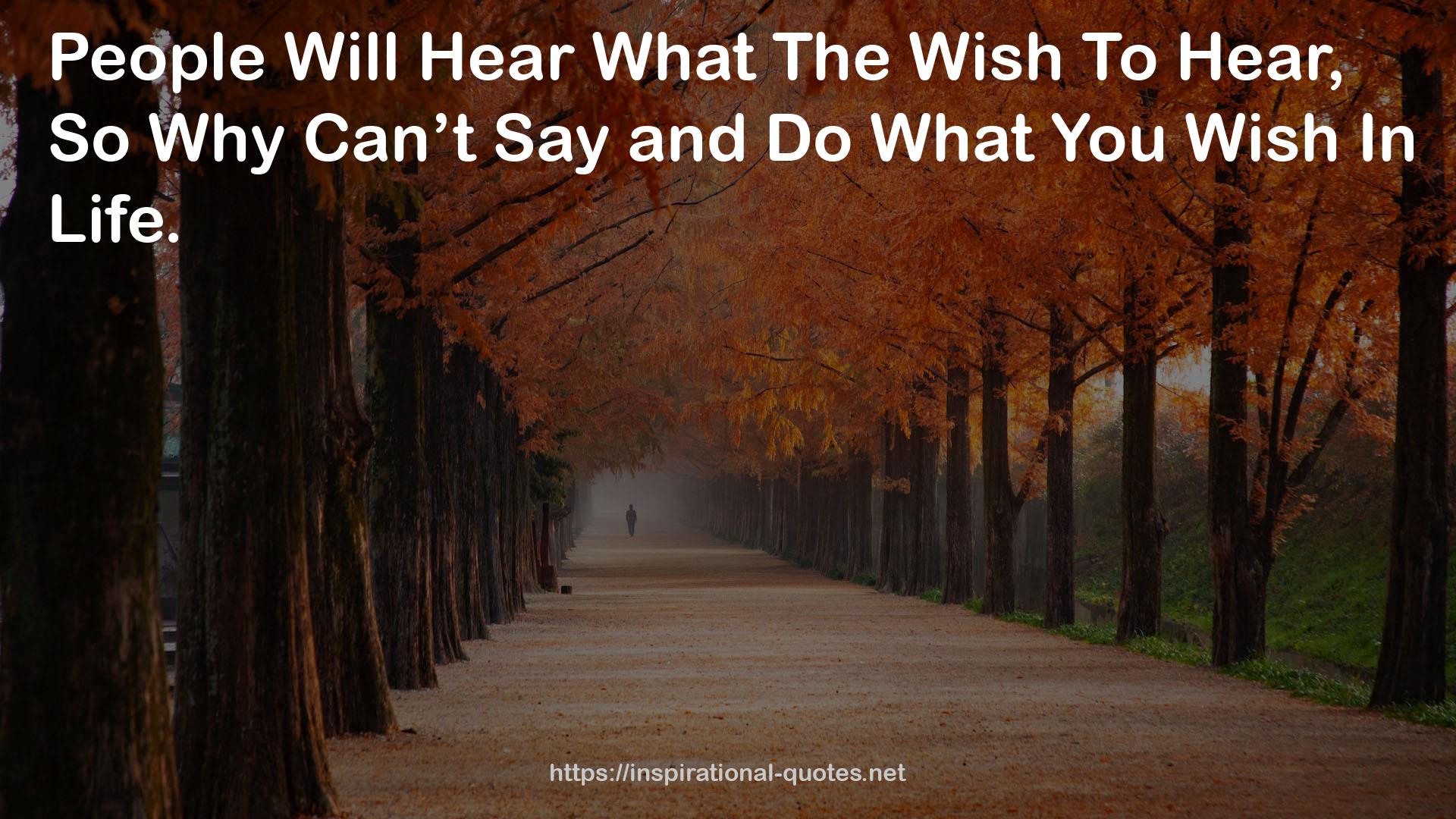 What The Wish  QUOTES