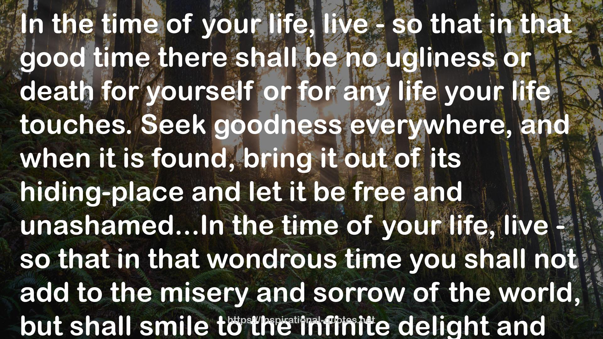 The Time of Your Life QUOTES