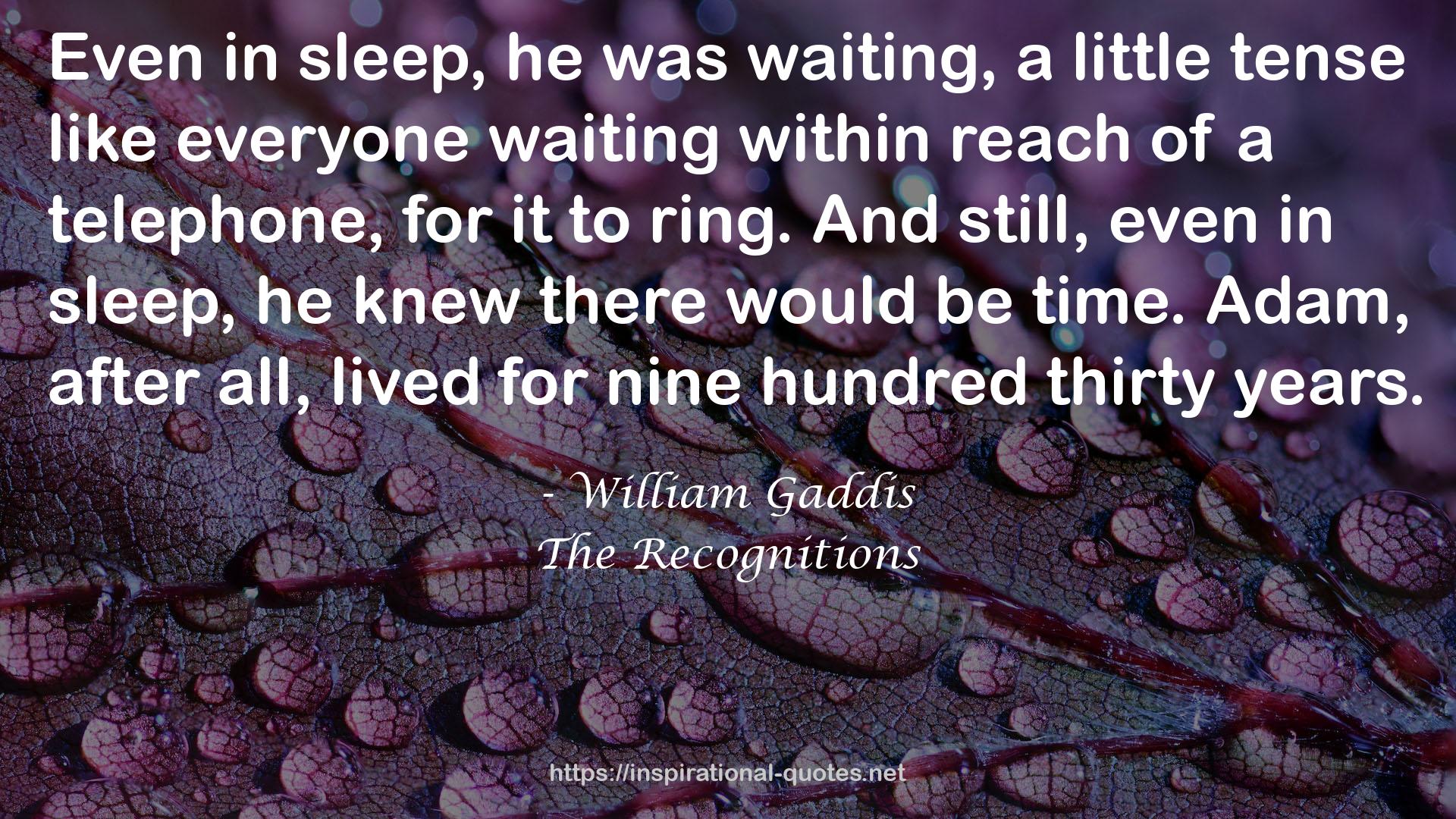 William Gaddis QUOTES