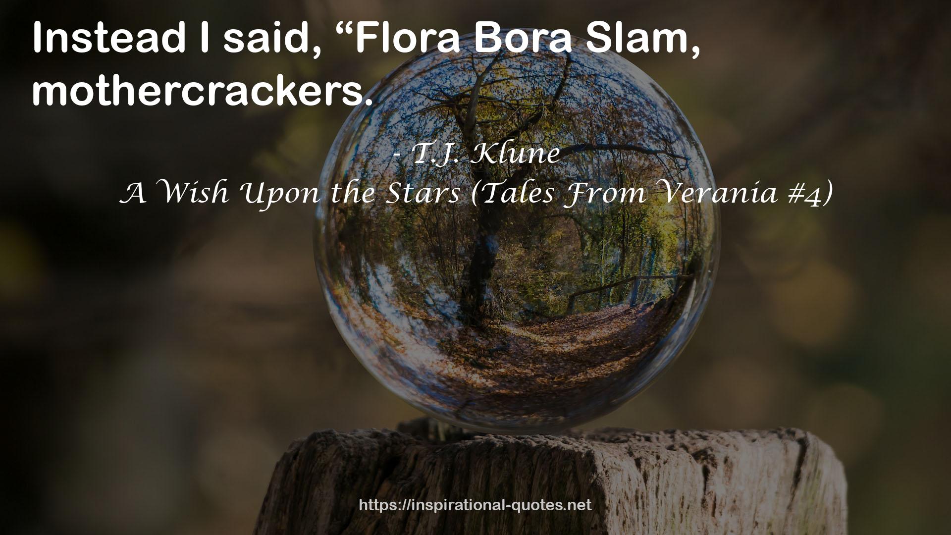 A Wish Upon the Stars (Tales From Verania #4) QUOTES