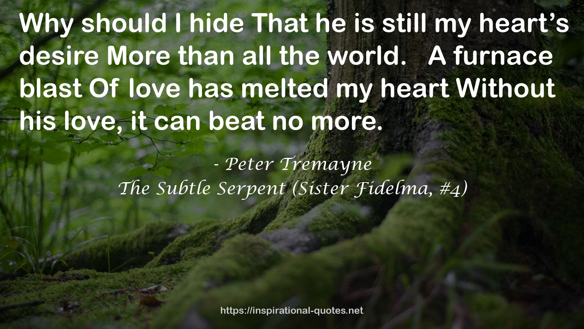 The Subtle Serpent (Sister Fidelma, #4) QUOTES