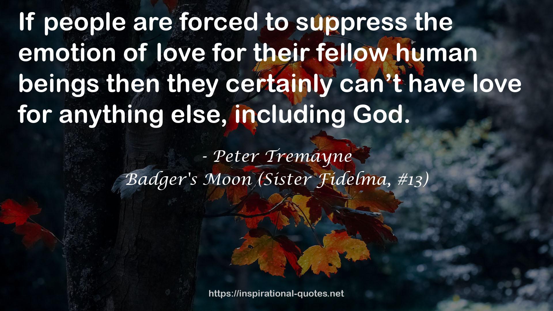 Badger's Moon (Sister Fidelma, #13) QUOTES