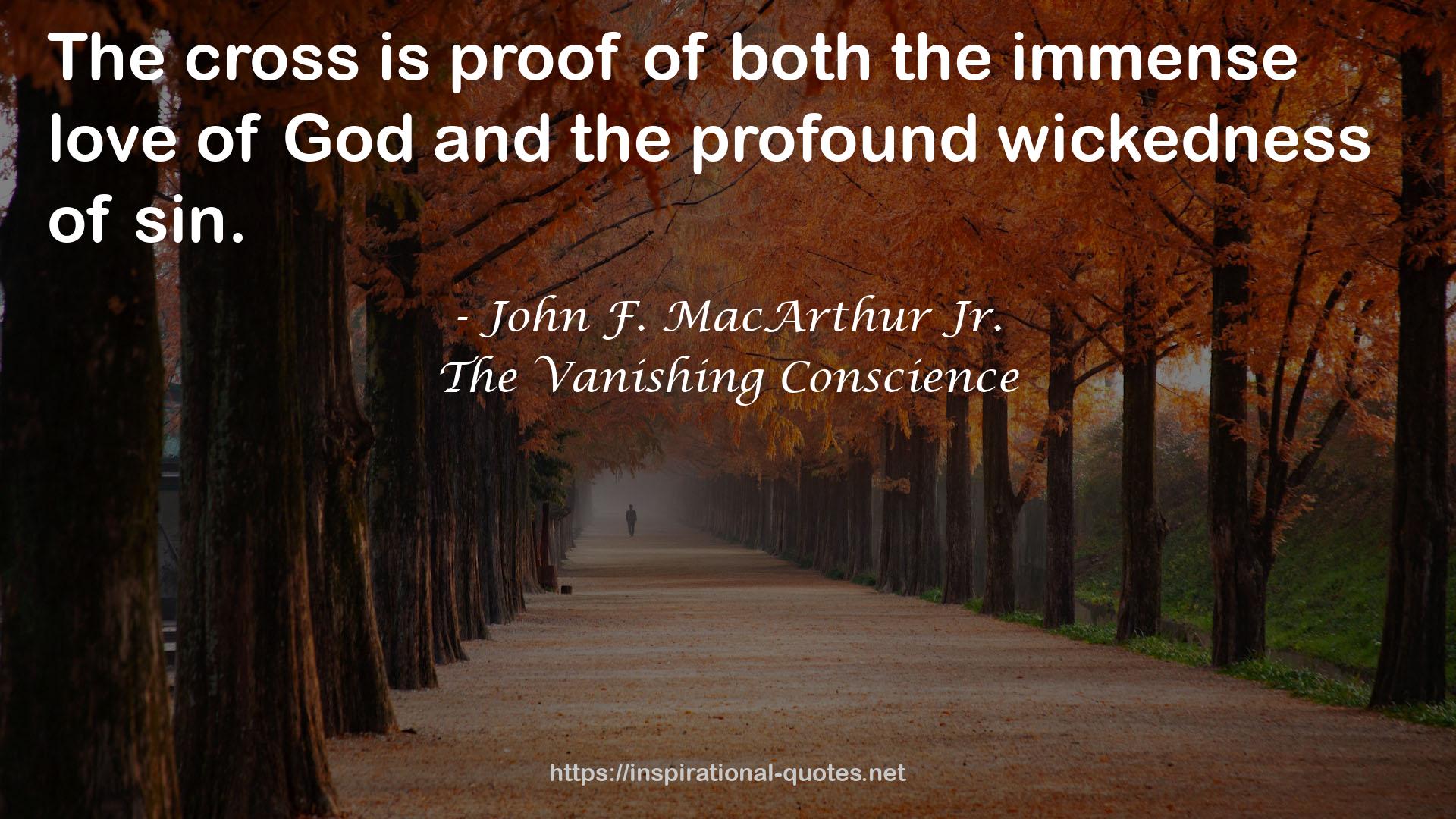 The Vanishing Conscience QUOTES