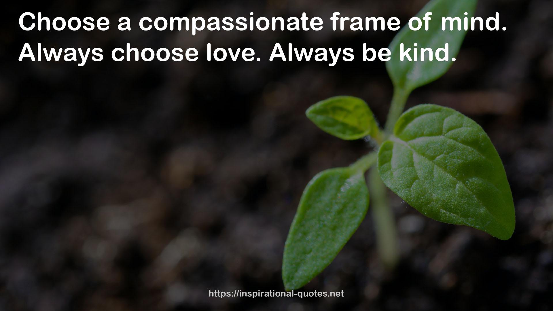 a compassionate frame  QUOTES