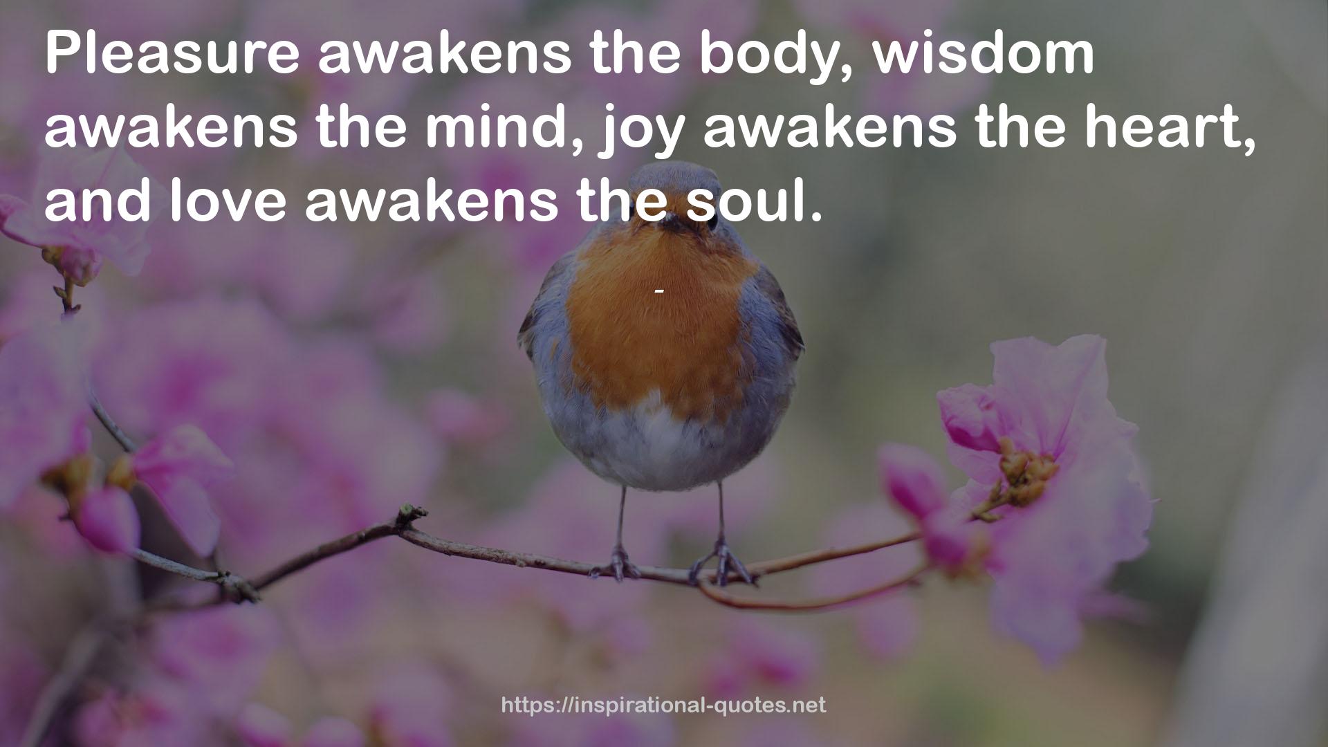 joy awakens  QUOTES