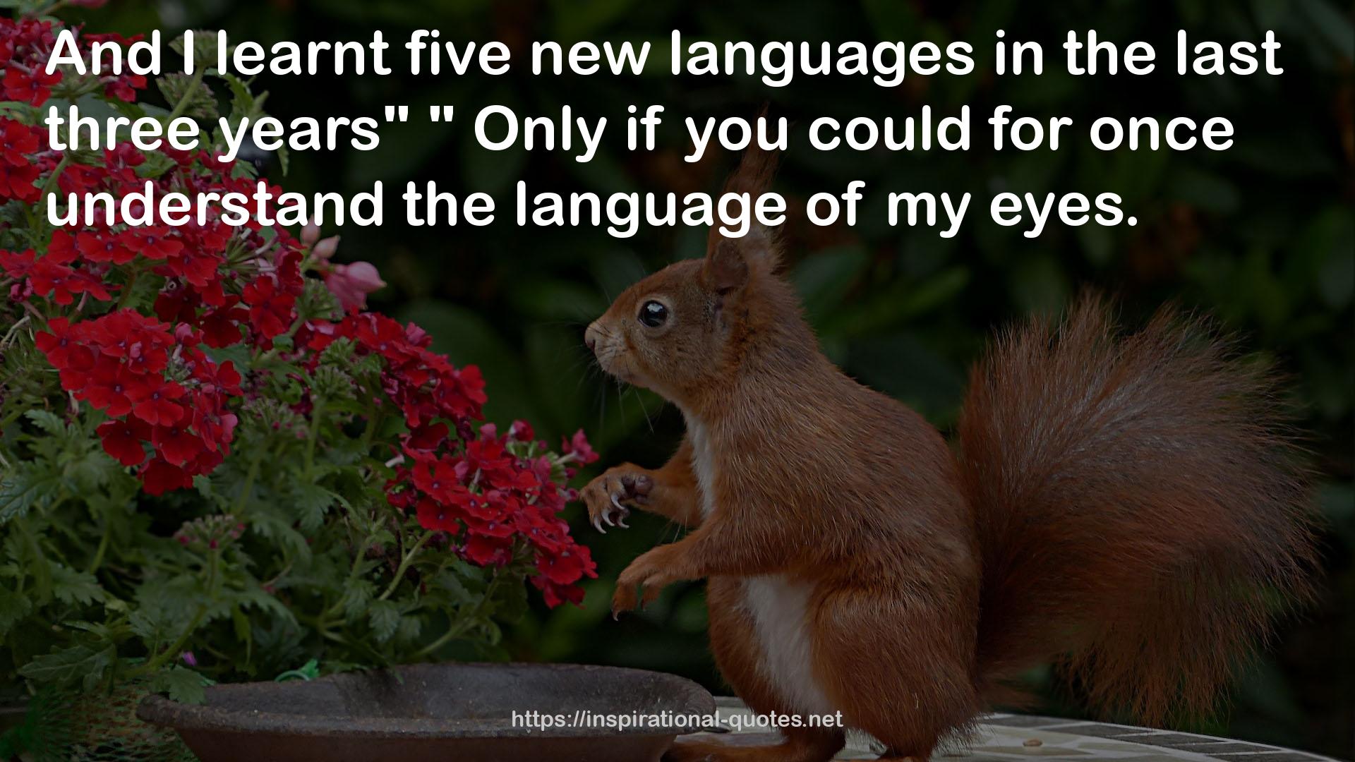 five new languages  QUOTES