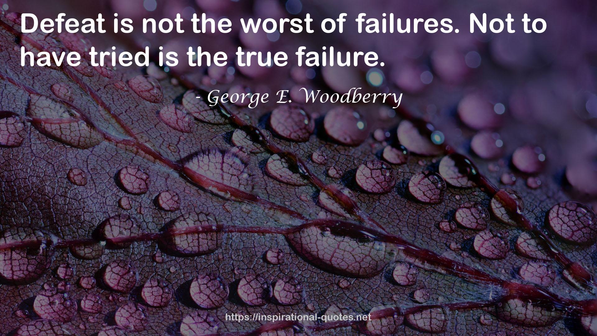 George E. Woodberry QUOTES