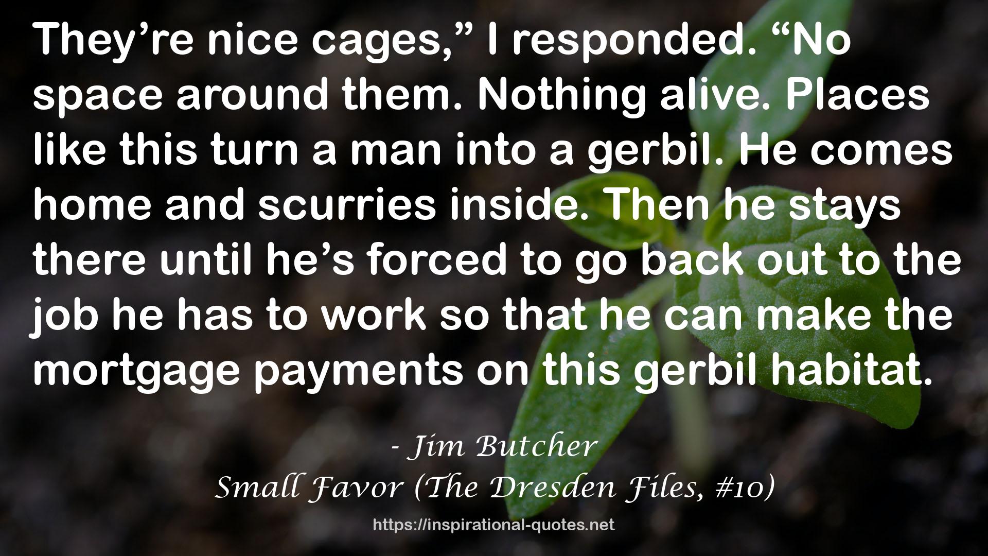 Small Favor (The Dresden Files, #10) QUOTES