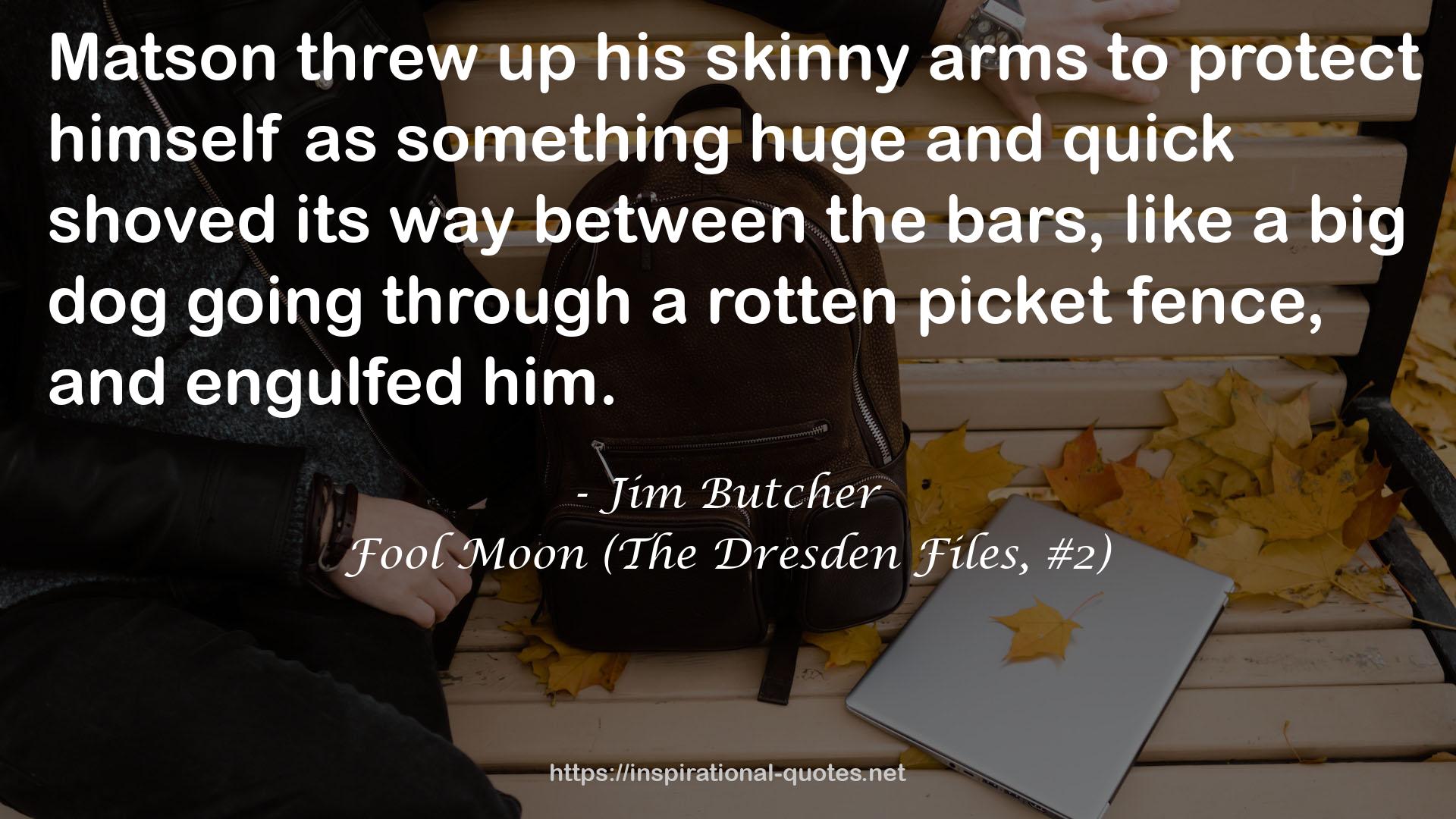 Fool Moon (The Dresden Files, #2) QUOTES