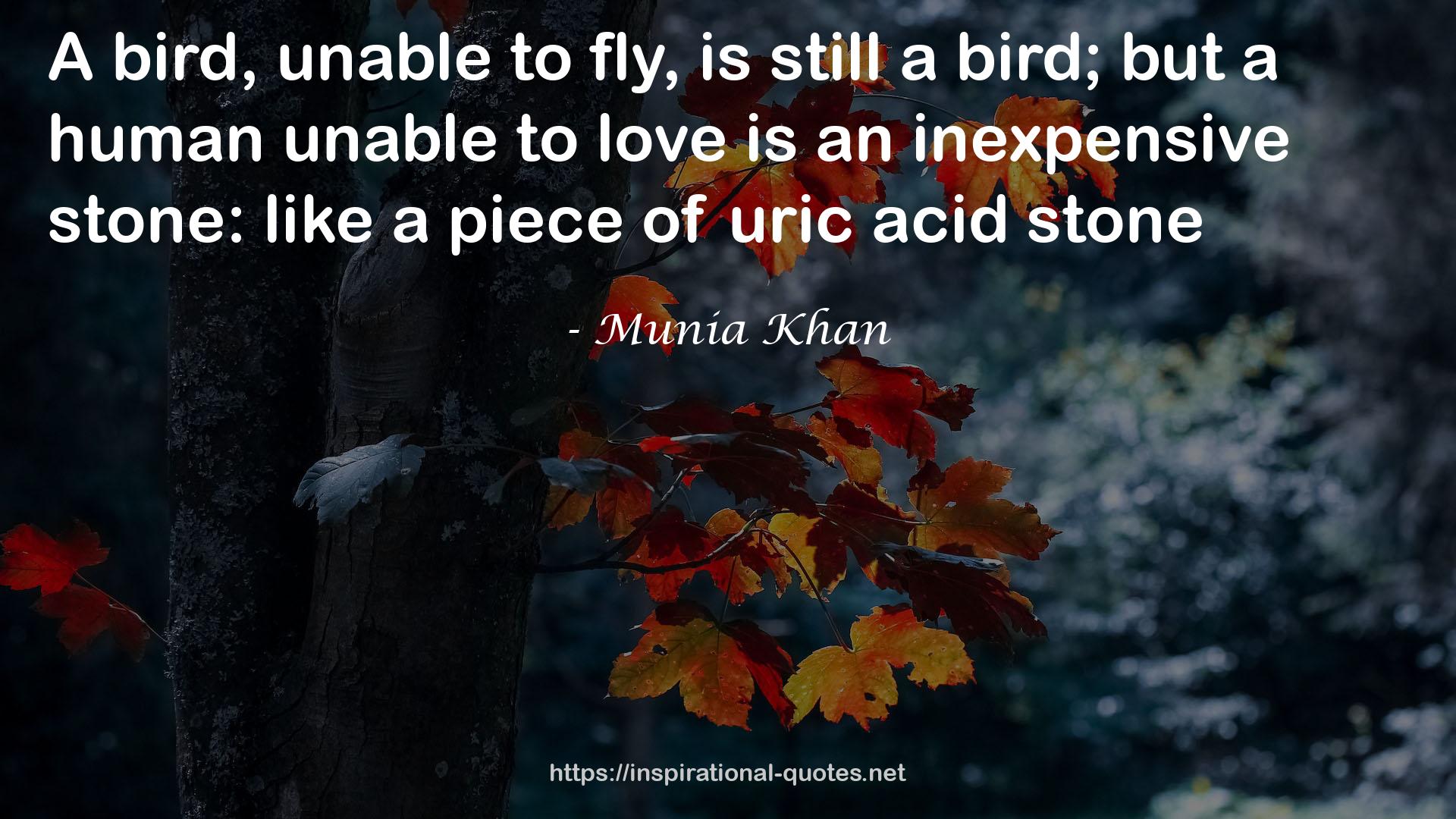 Munia Khan QUOTES