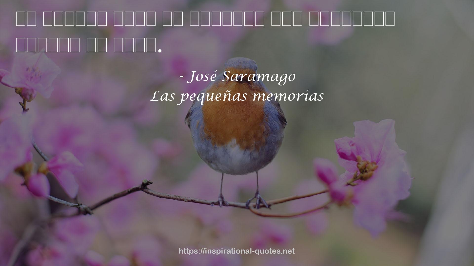 Las pequeñas memorias QUOTES