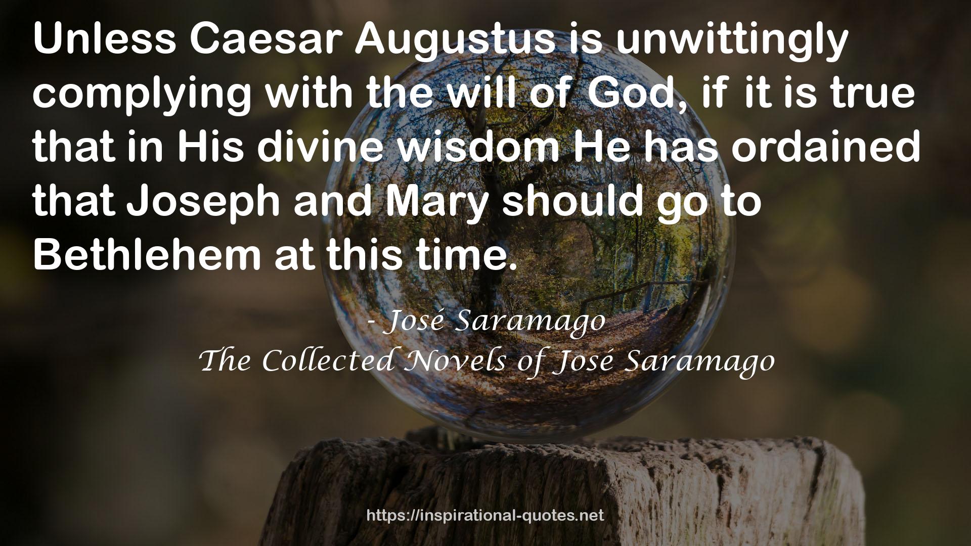 The Collected Novels of José Saramago QUOTES
