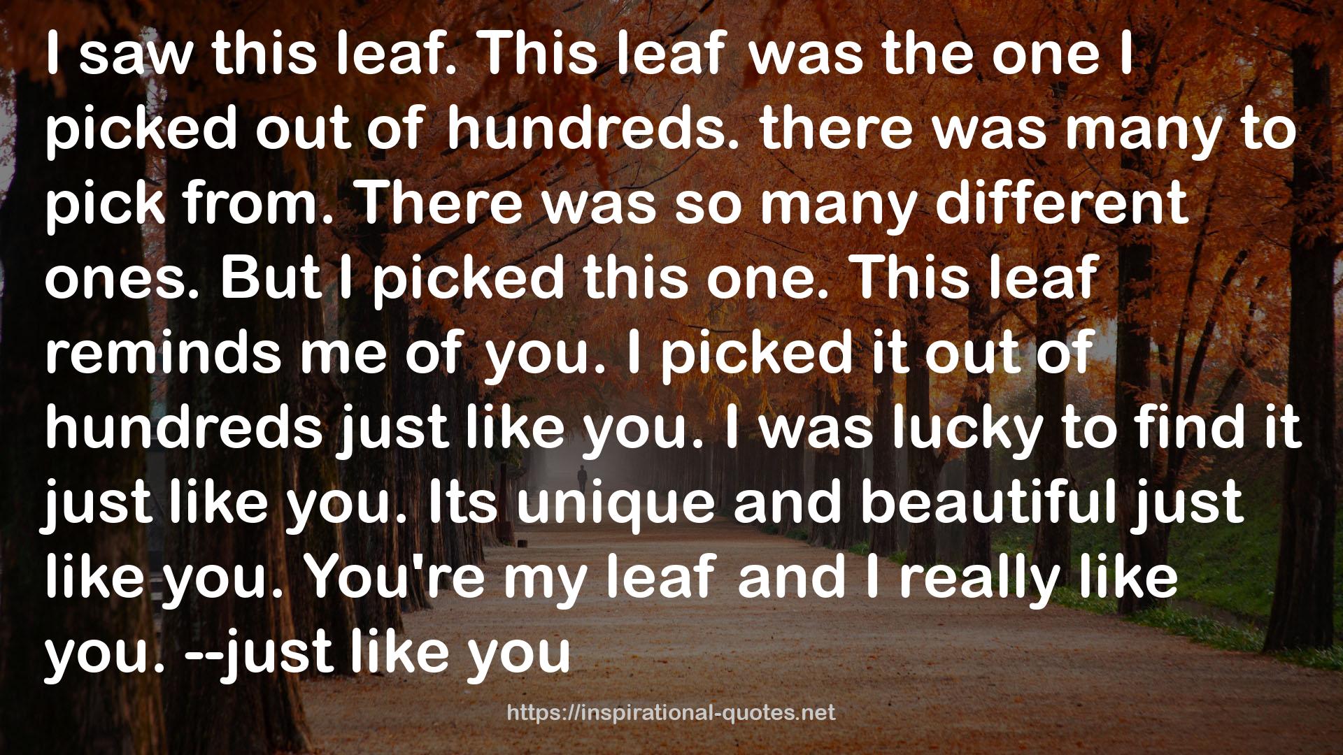 this leaf  QUOTES