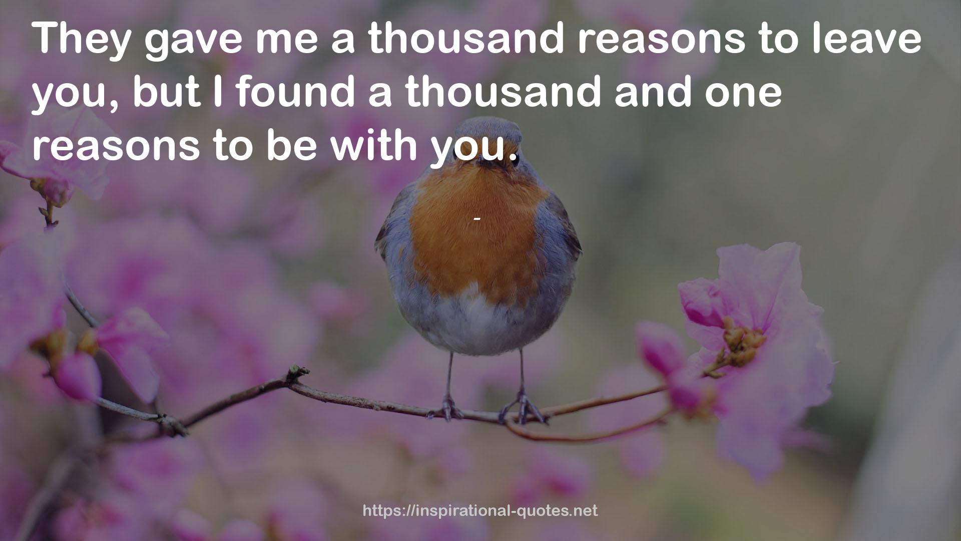 a thousand and one reasons  QUOTES