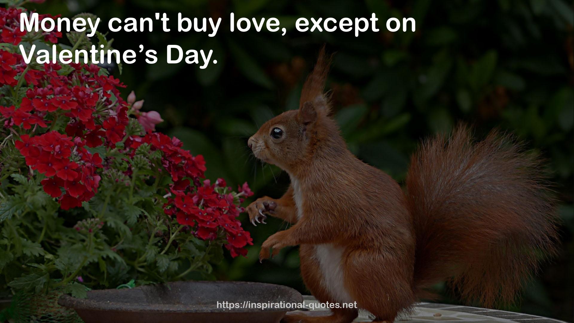 Valentine’s Day  QUOTES