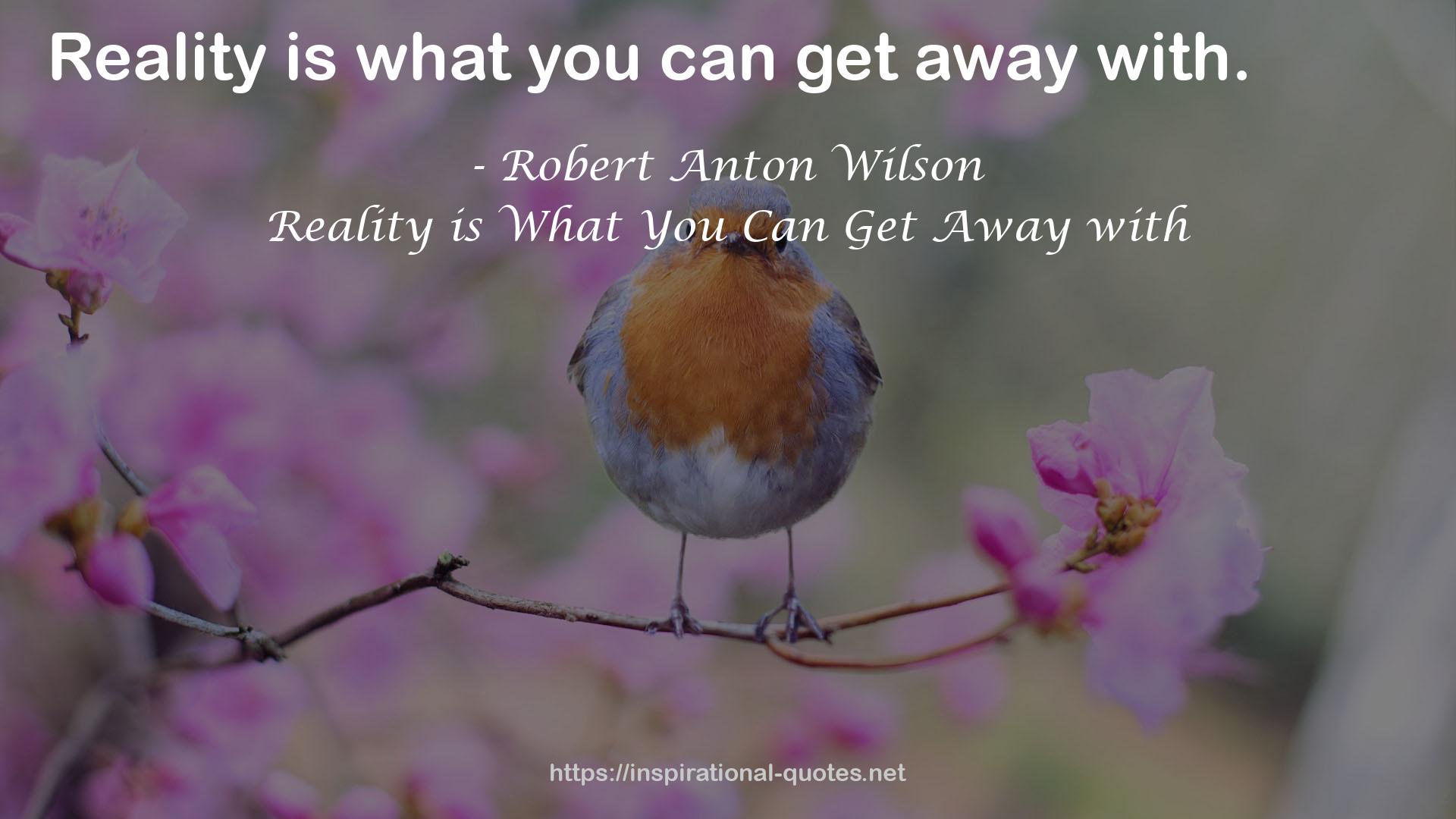 Reality is What You Can Get Away with QUOTES