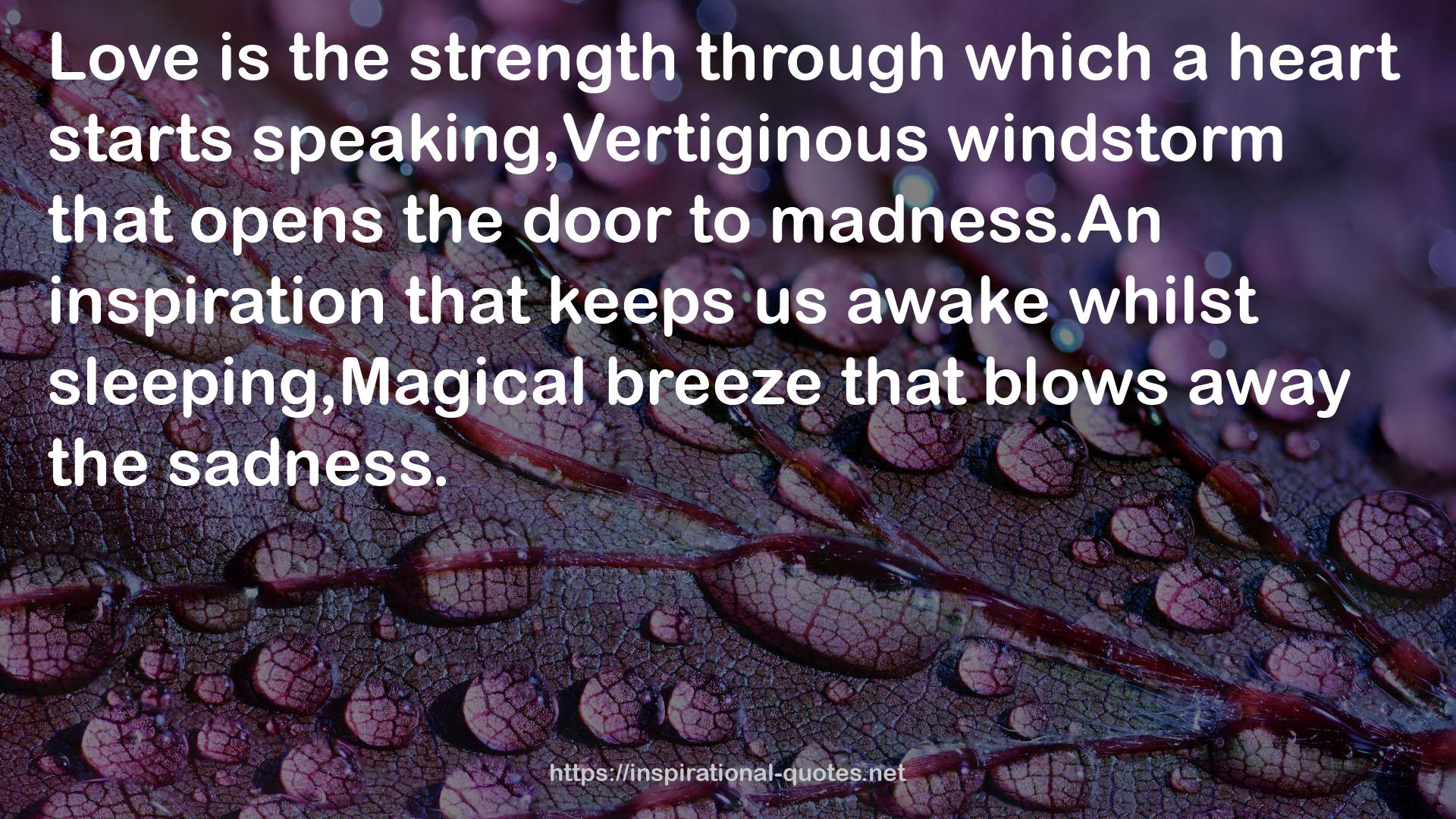 windstorm  QUOTES