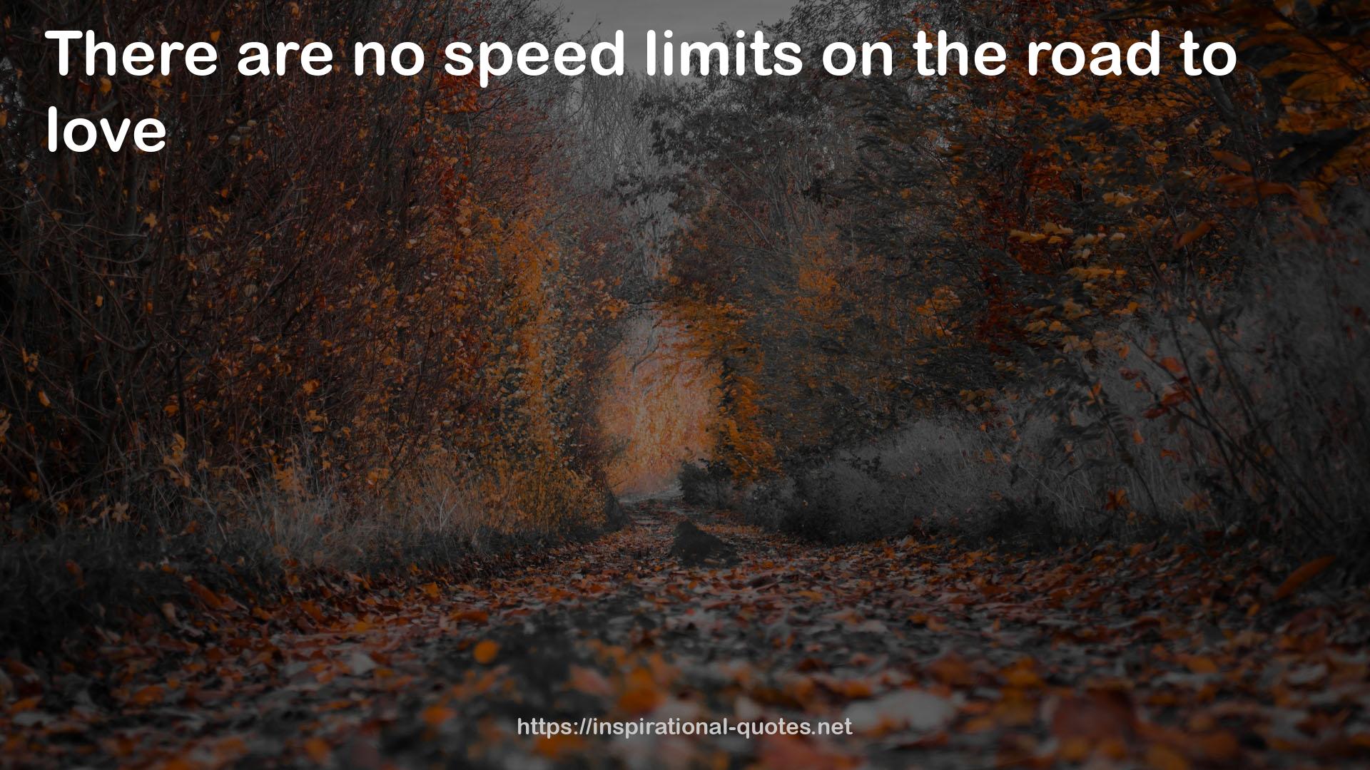 no speed limits  QUOTES