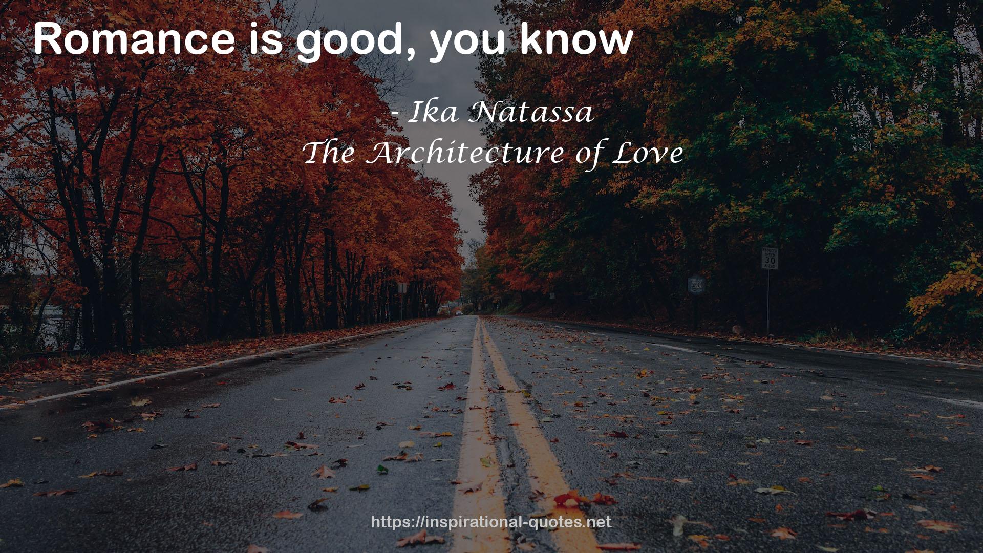The Architecture of Love QUOTES