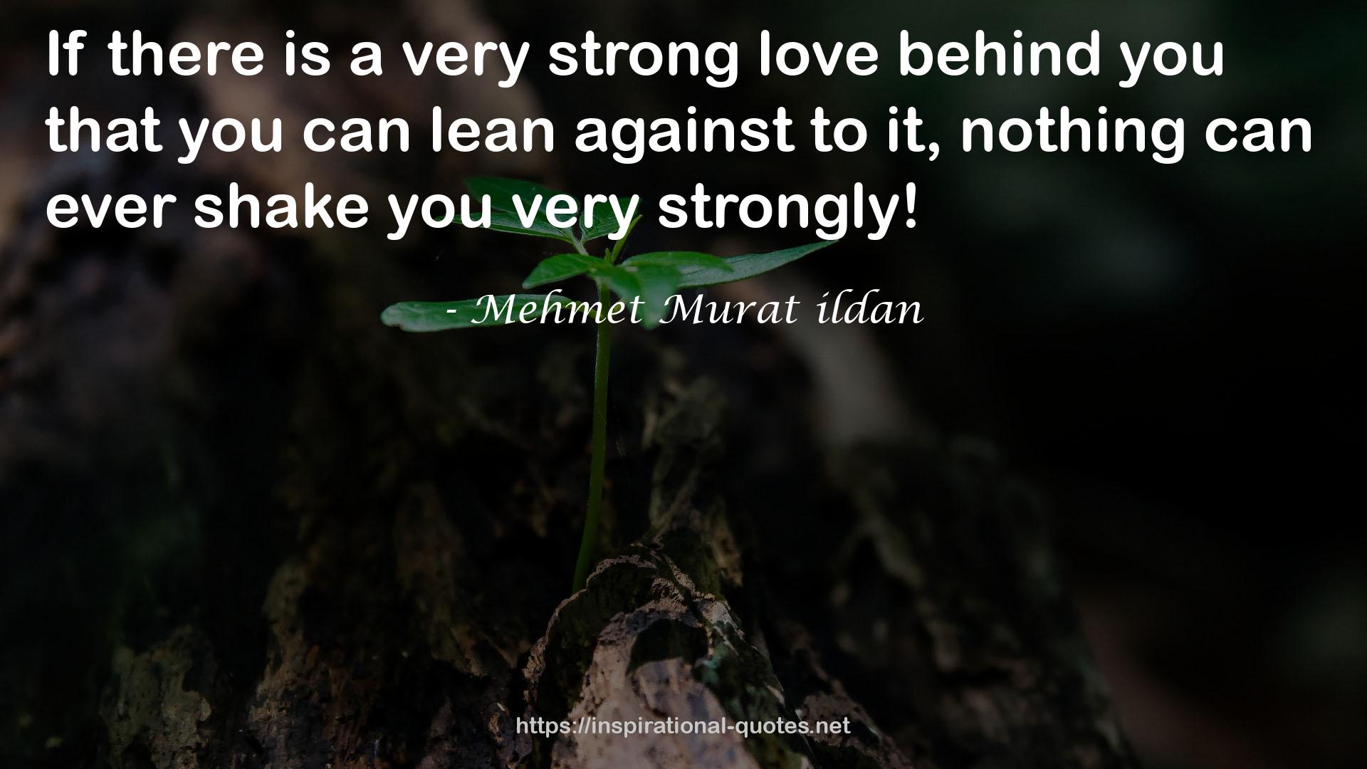 a very strong love  QUOTES