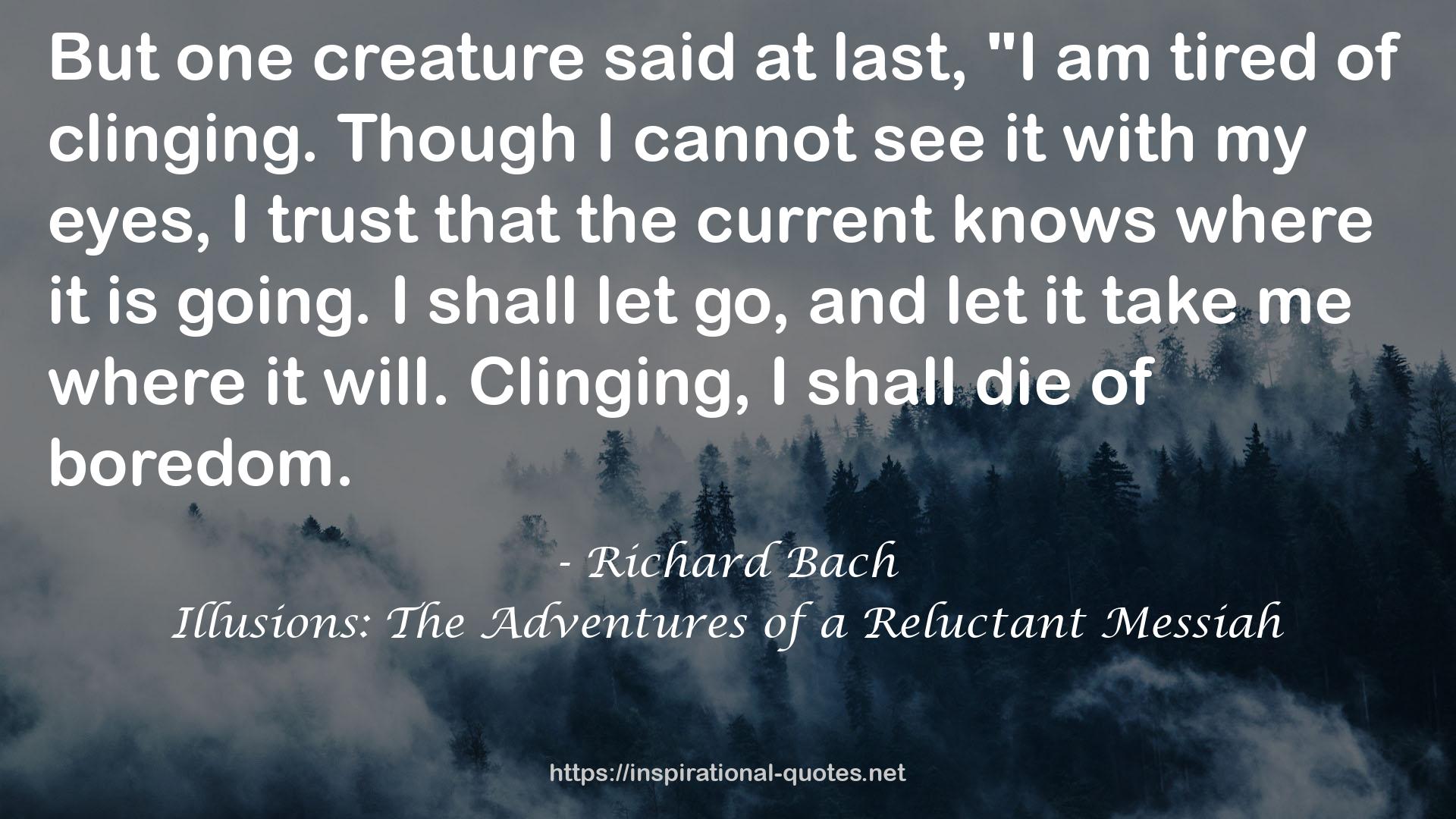 Richard Bach QUOTES