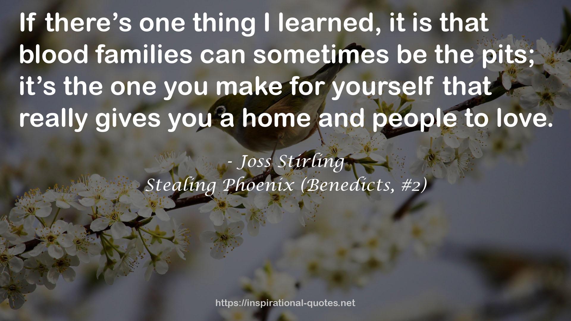 Stealing Phoenix (Benedicts, #2) QUOTES