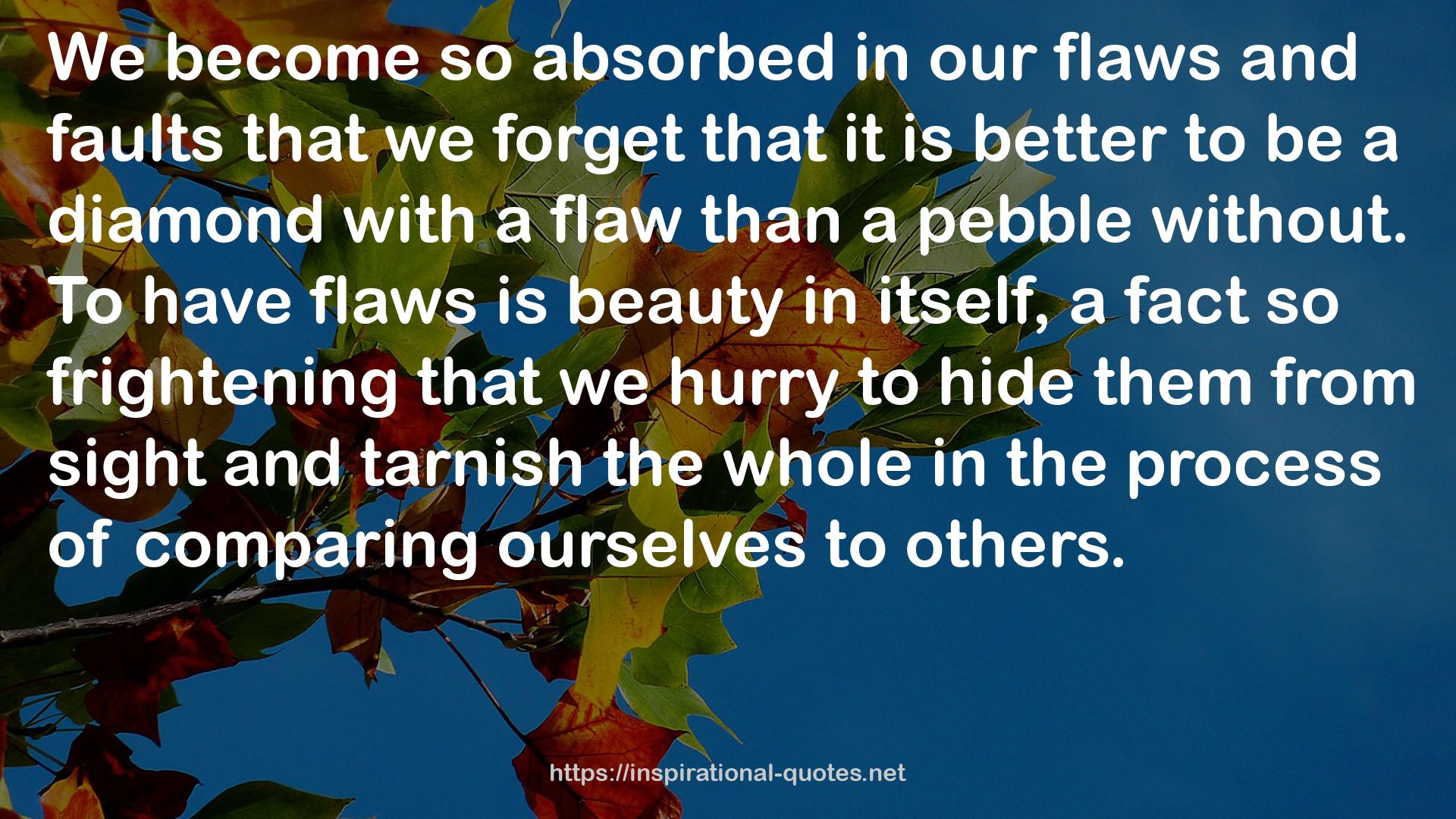 our flaws  QUOTES