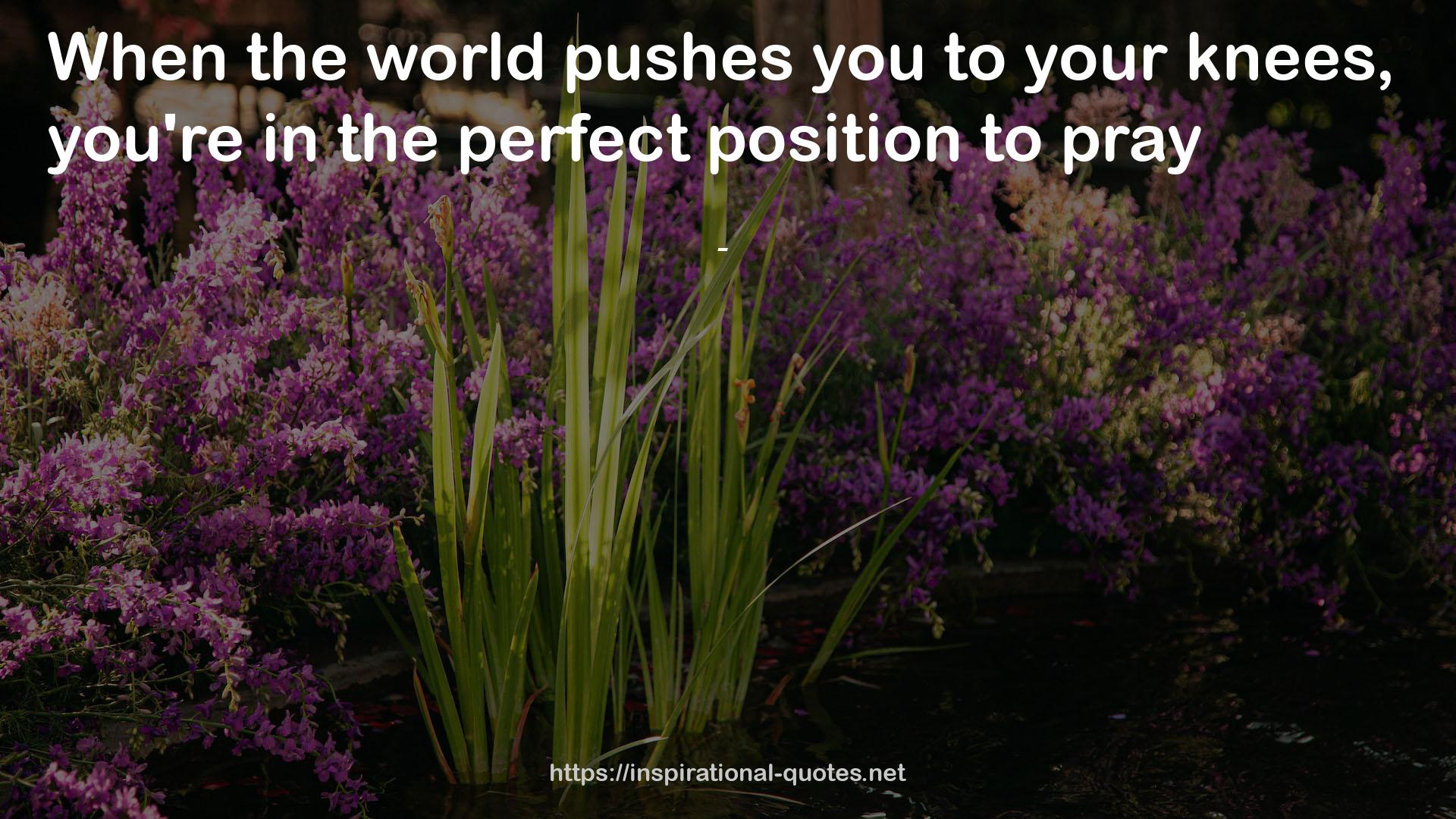 the perfect position  QUOTES