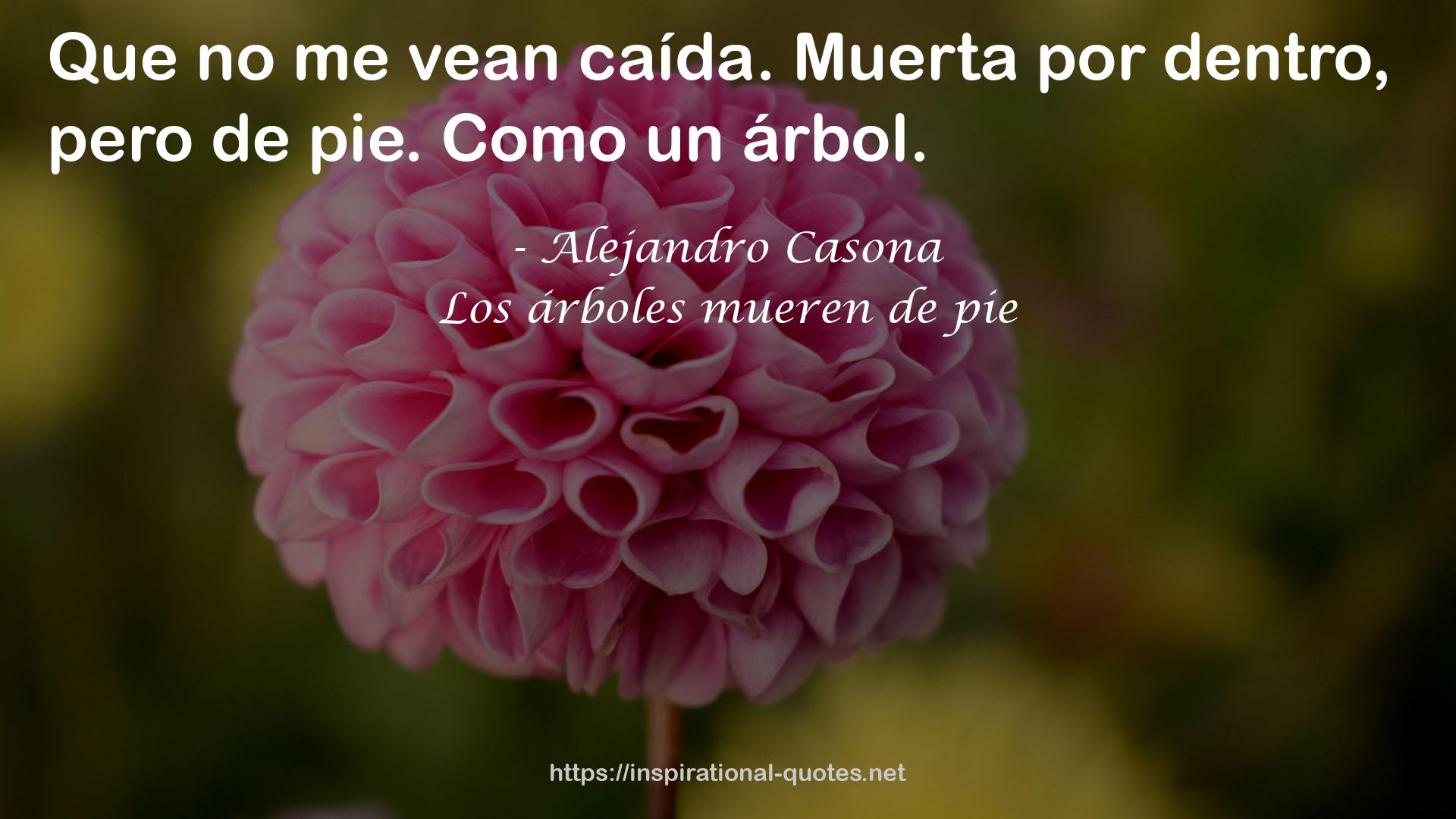 Los árboles mueren de pie QUOTES