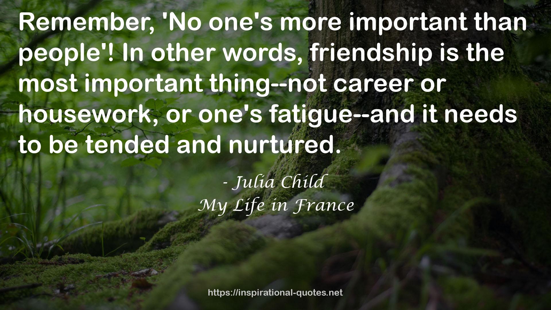 My Life in France QUOTES