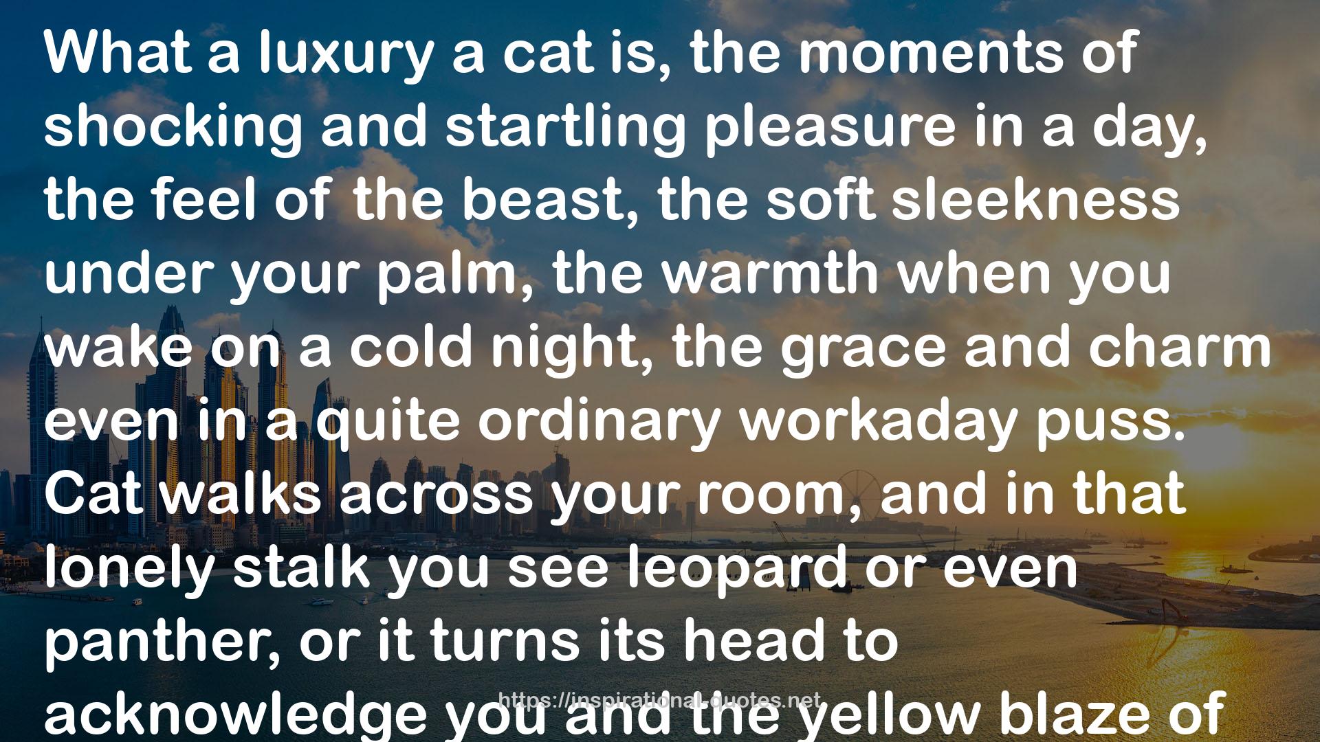 leopard  QUOTES