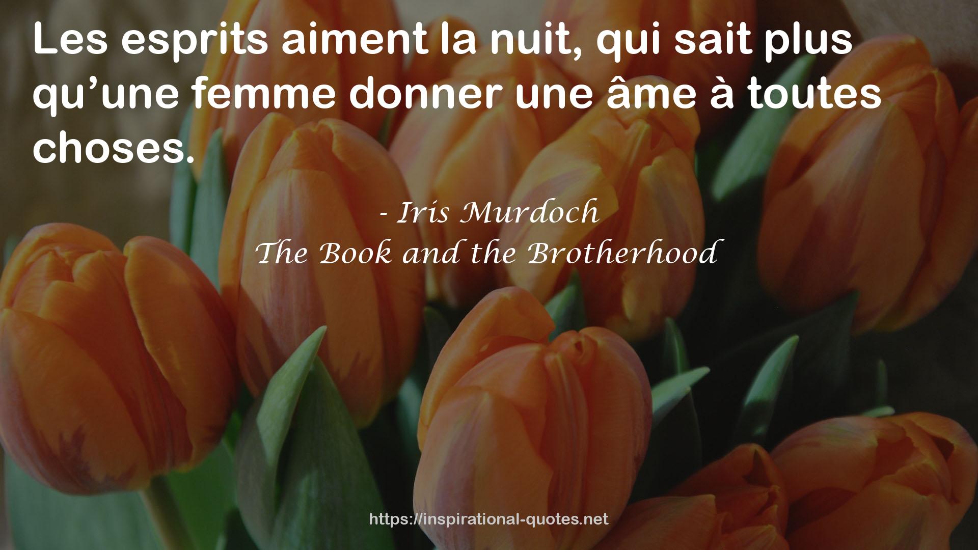 The Book and the Brotherhood QUOTES