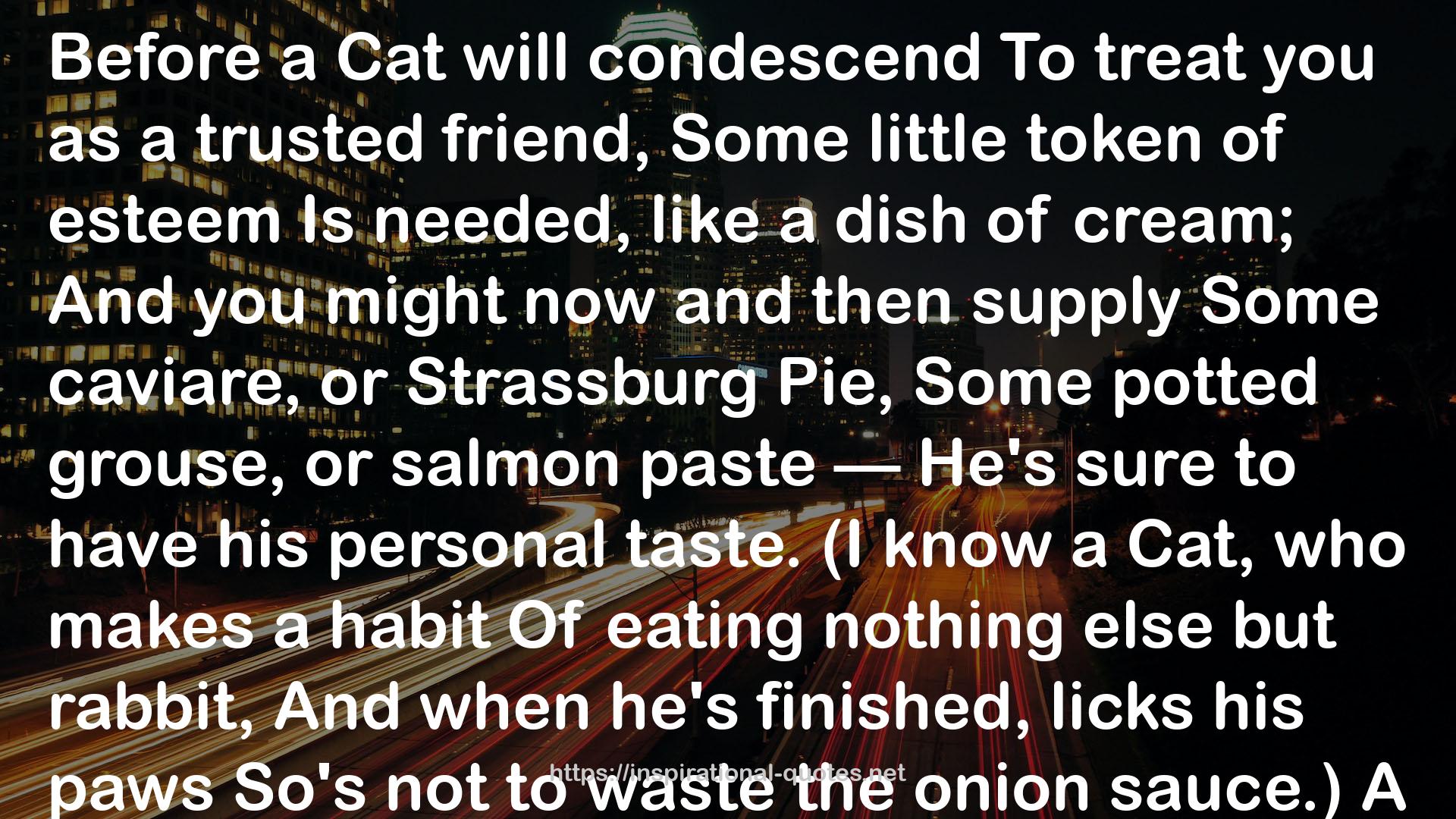 a cat  QUOTES