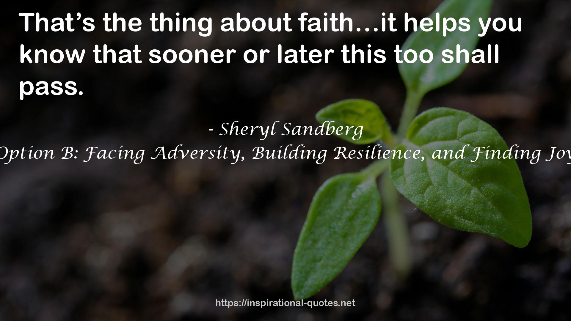 Option B: Facing Adversity, Building Resilience, and Finding Joy QUOTES