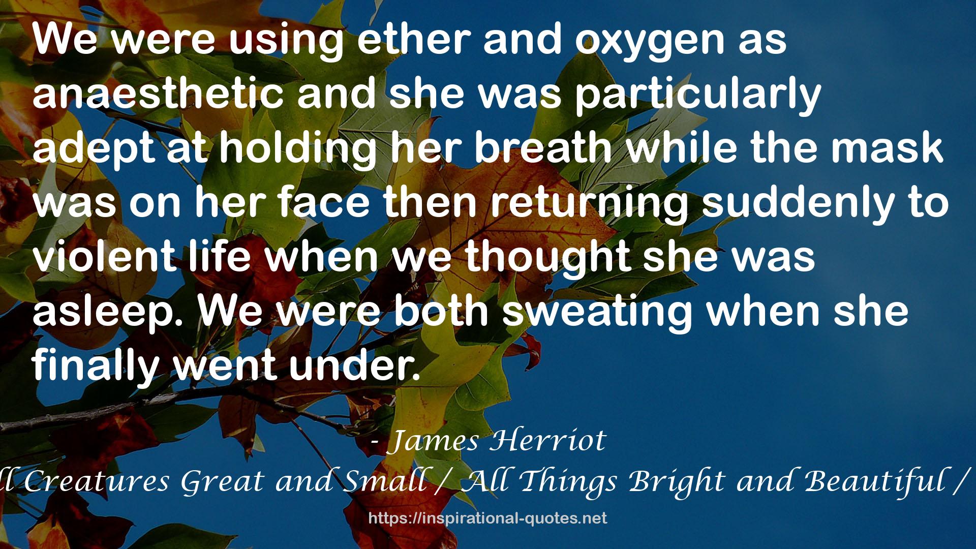 Three James Herriot Classics: All Creatures Great and Small / All Things Bright and Beautiful / All Things Wise and Wonderful QUOTES