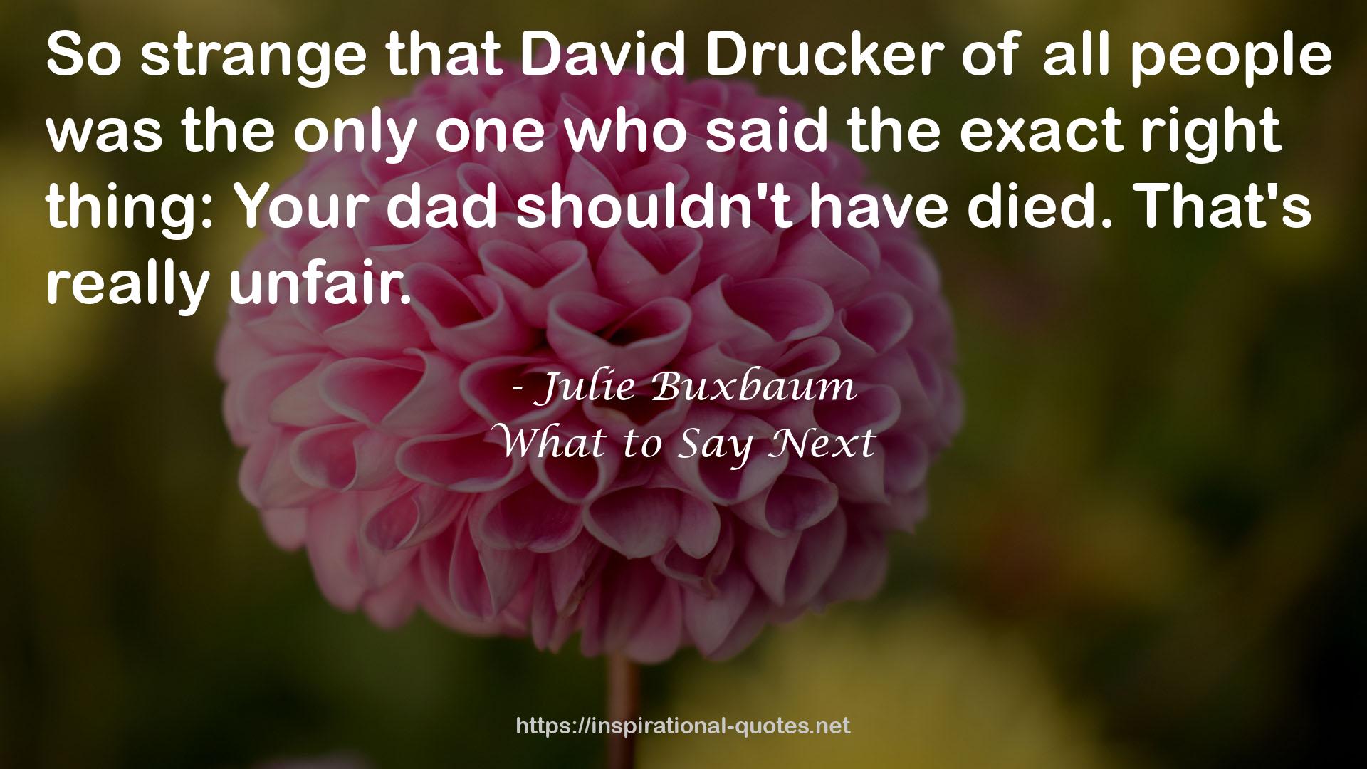 David Drucker  QUOTES