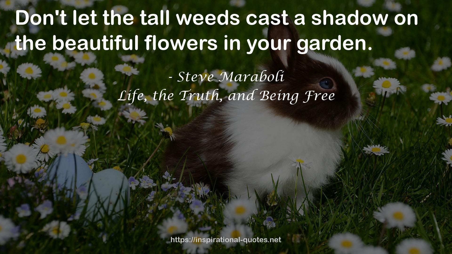 the tall weeds  QUOTES