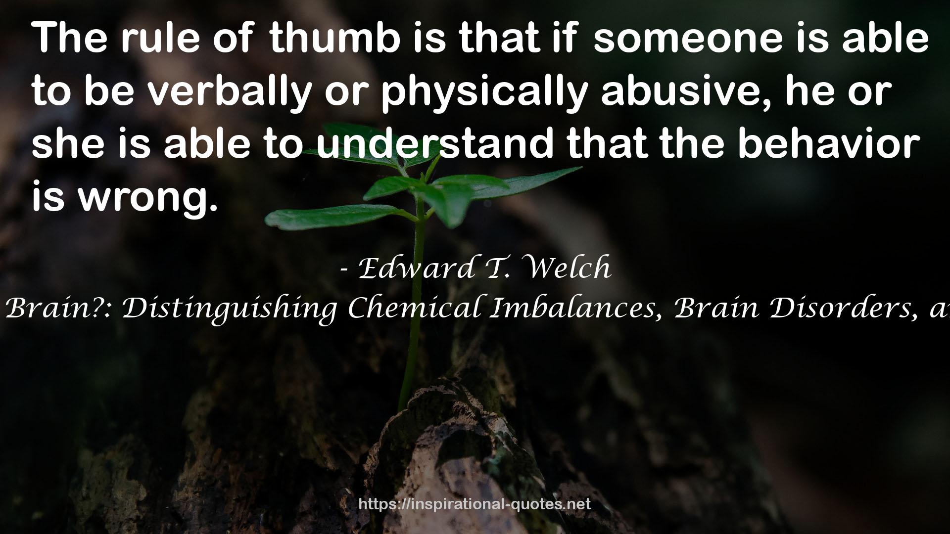 Blame It on the Brain?: Distinguishing Chemical Imbalances, Brain Disorders, and Disobedience QUOTES