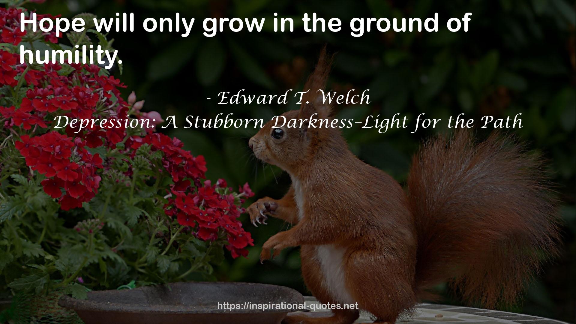 Depression: A Stubborn Darkness–Light for the Path QUOTES
