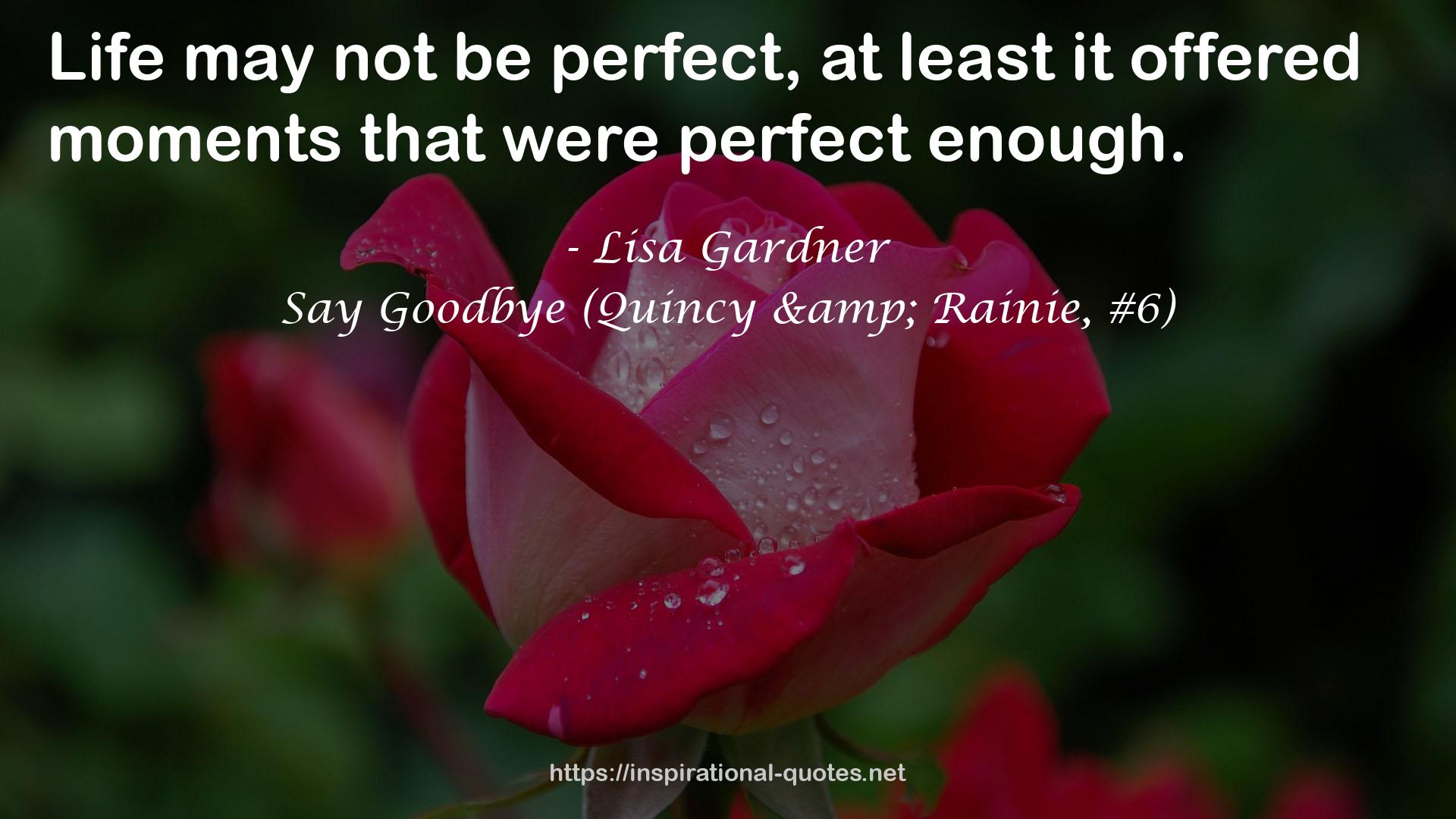 Say Goodbye (Quincy & Rainie, #6) QUOTES