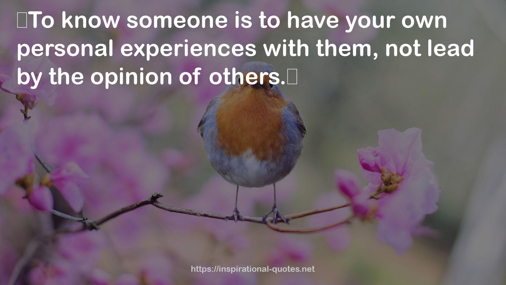 your own personal experiences  QUOTES