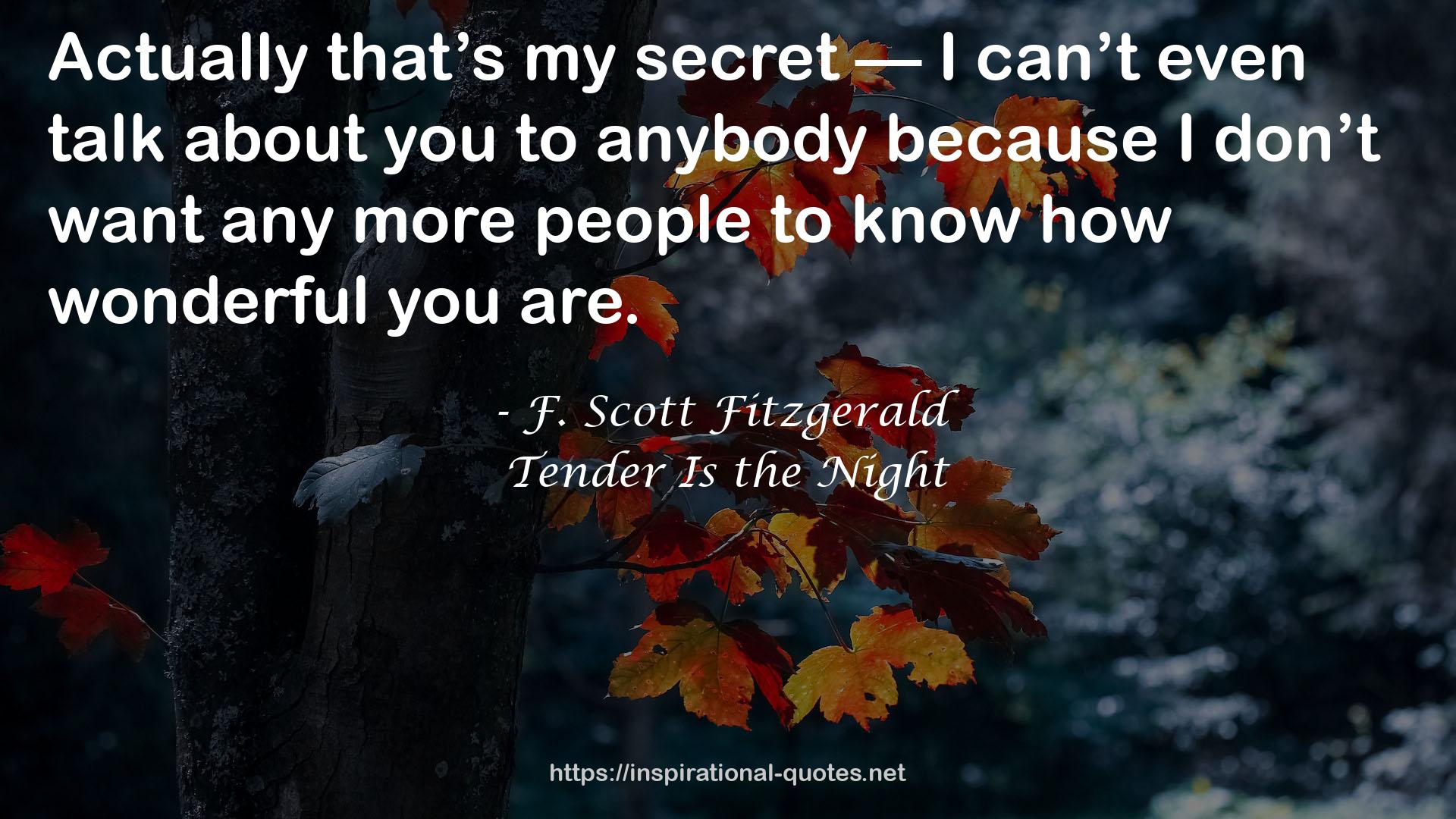 Tender Is the Night QUOTES