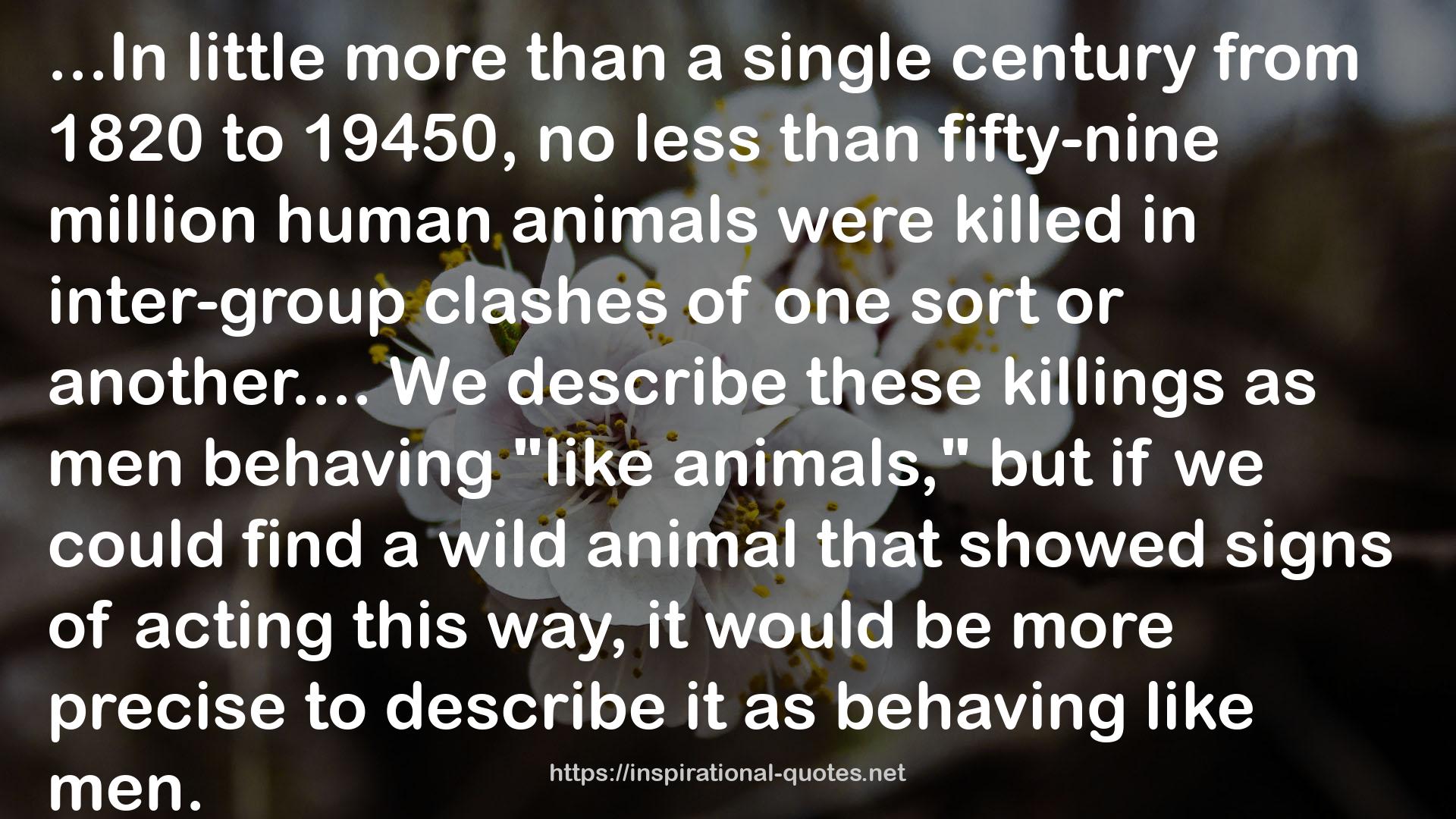 The Human Zoo: A Zoologist's Study of the Urban Animal QUOTES