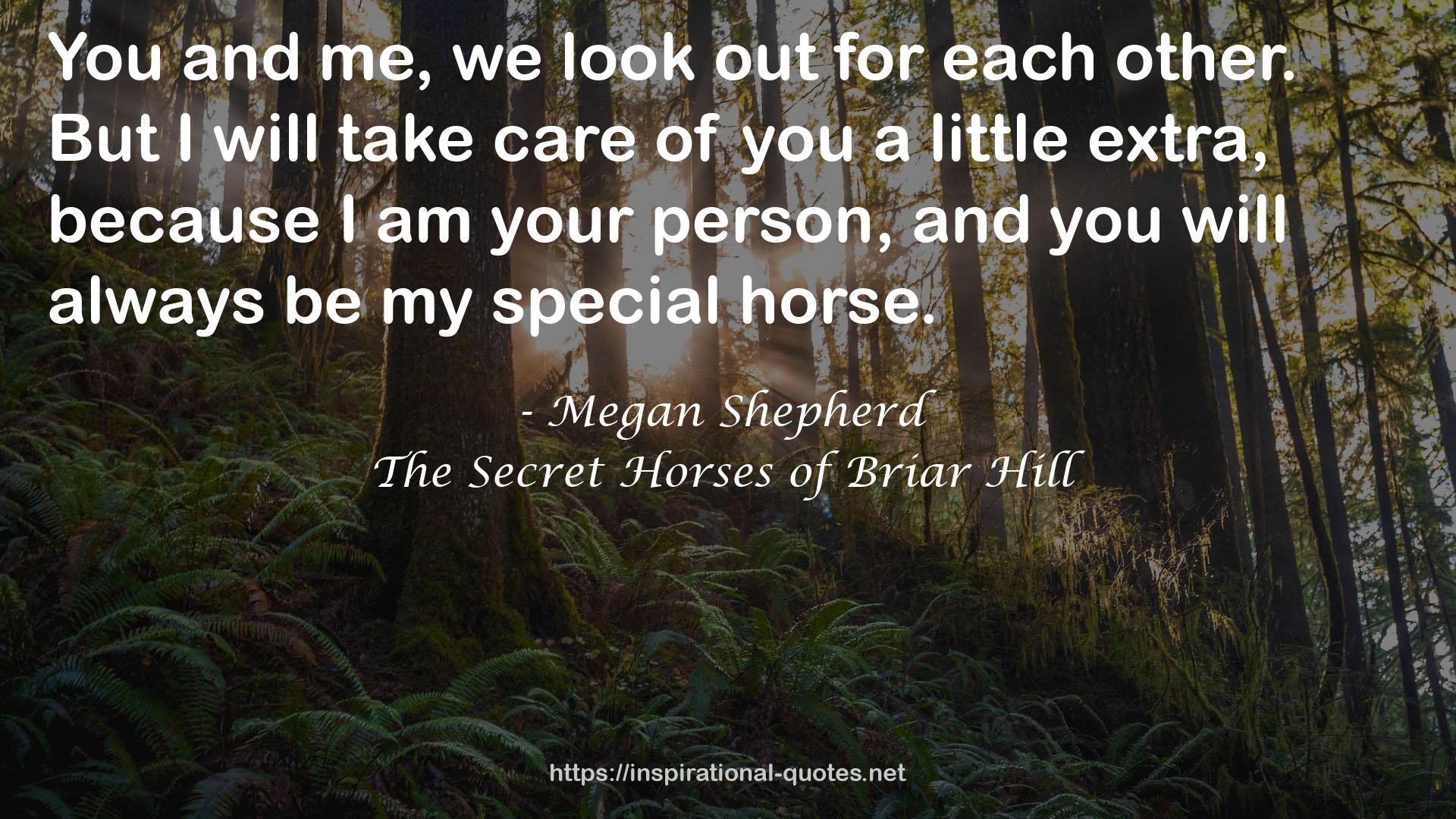 The Secret Horses of Briar Hill QUOTES