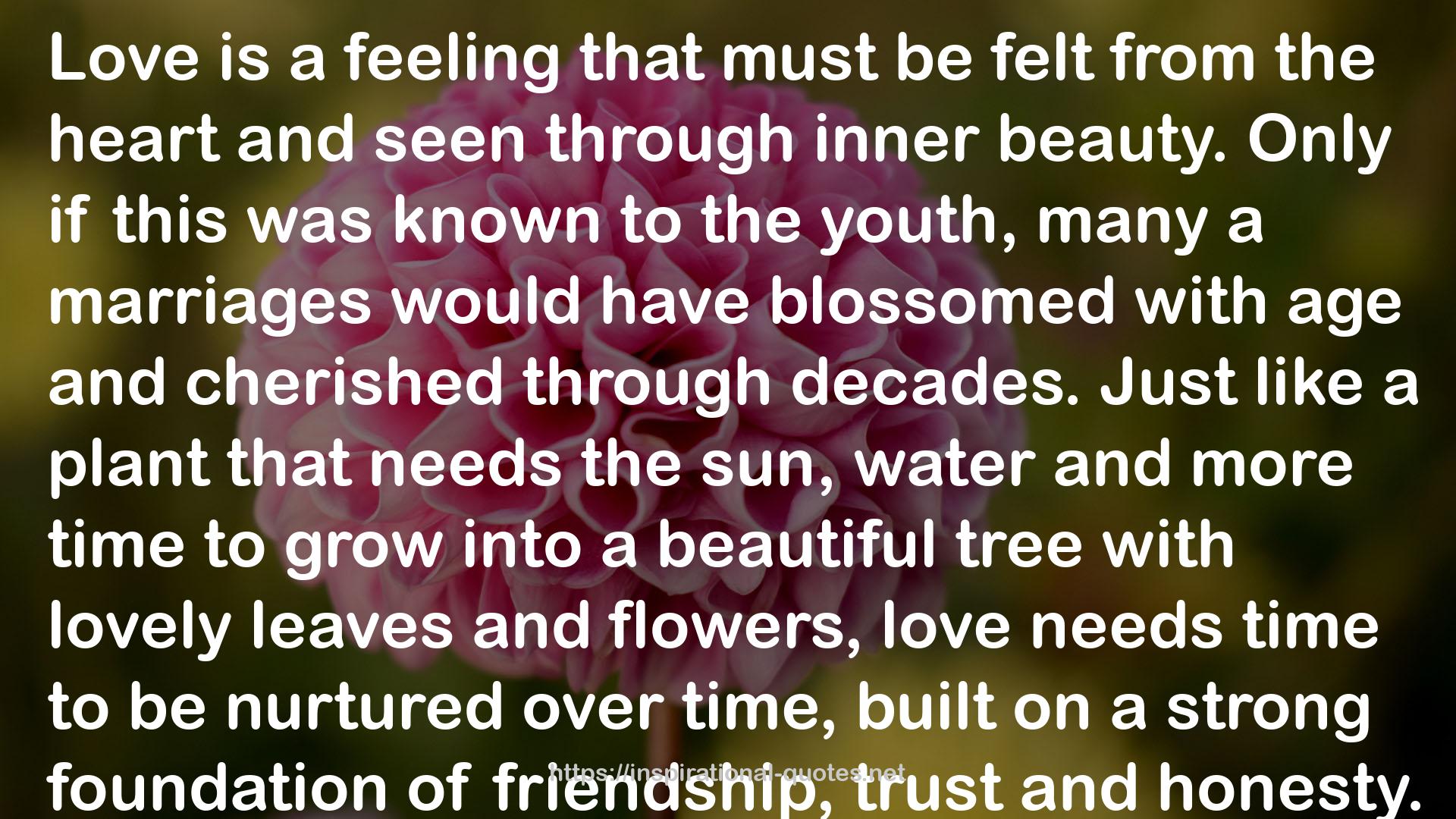 blossomed  QUOTES