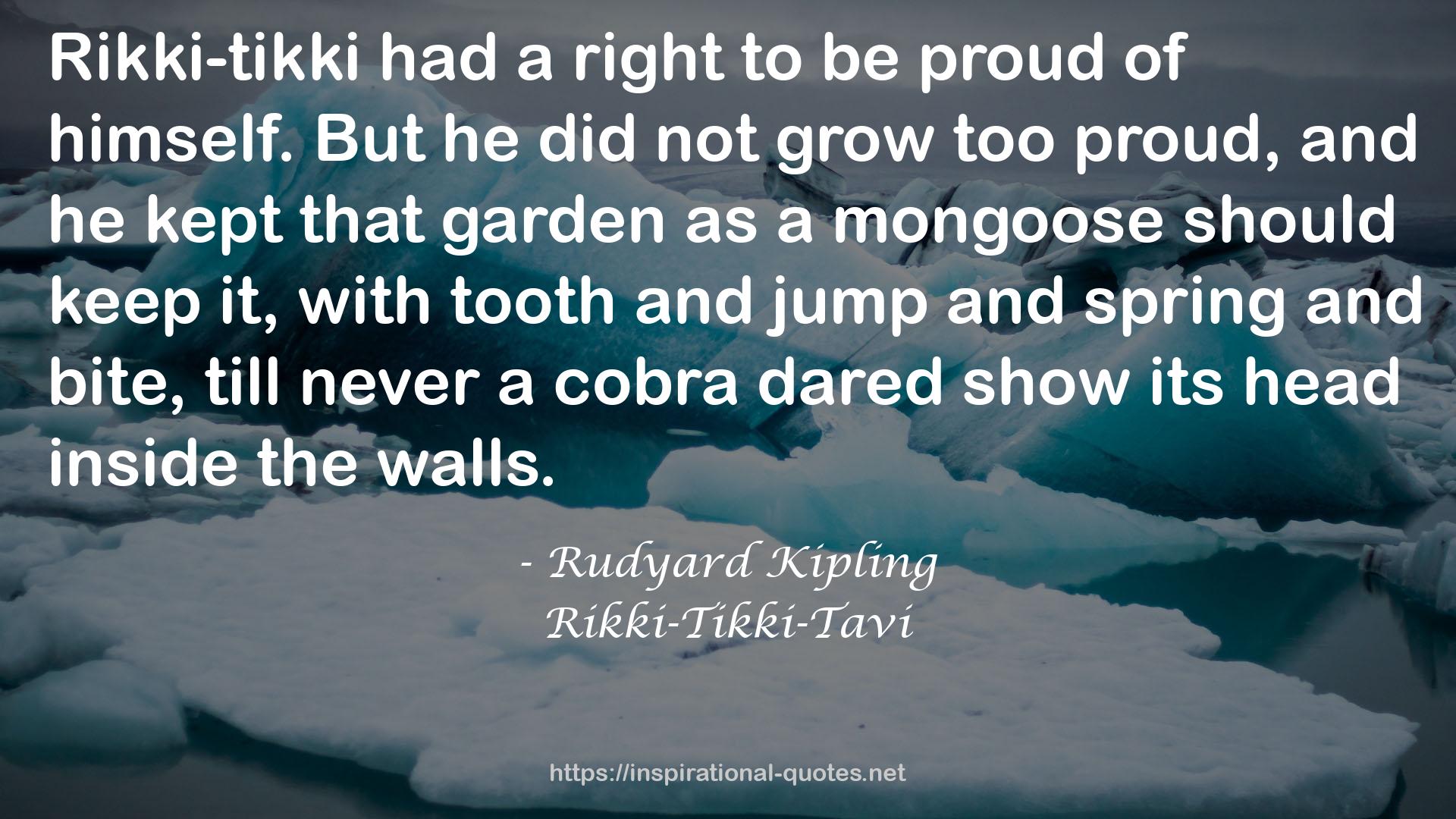 Rikki-Tikki-Tavi QUOTES