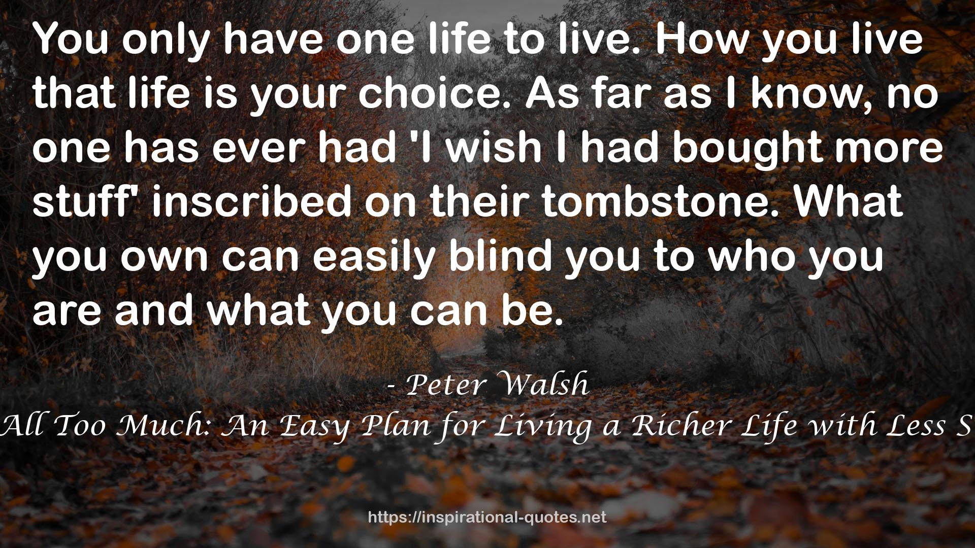 It's All Too Much: An Easy Plan for Living a Richer Life with Less Stuff QUOTES