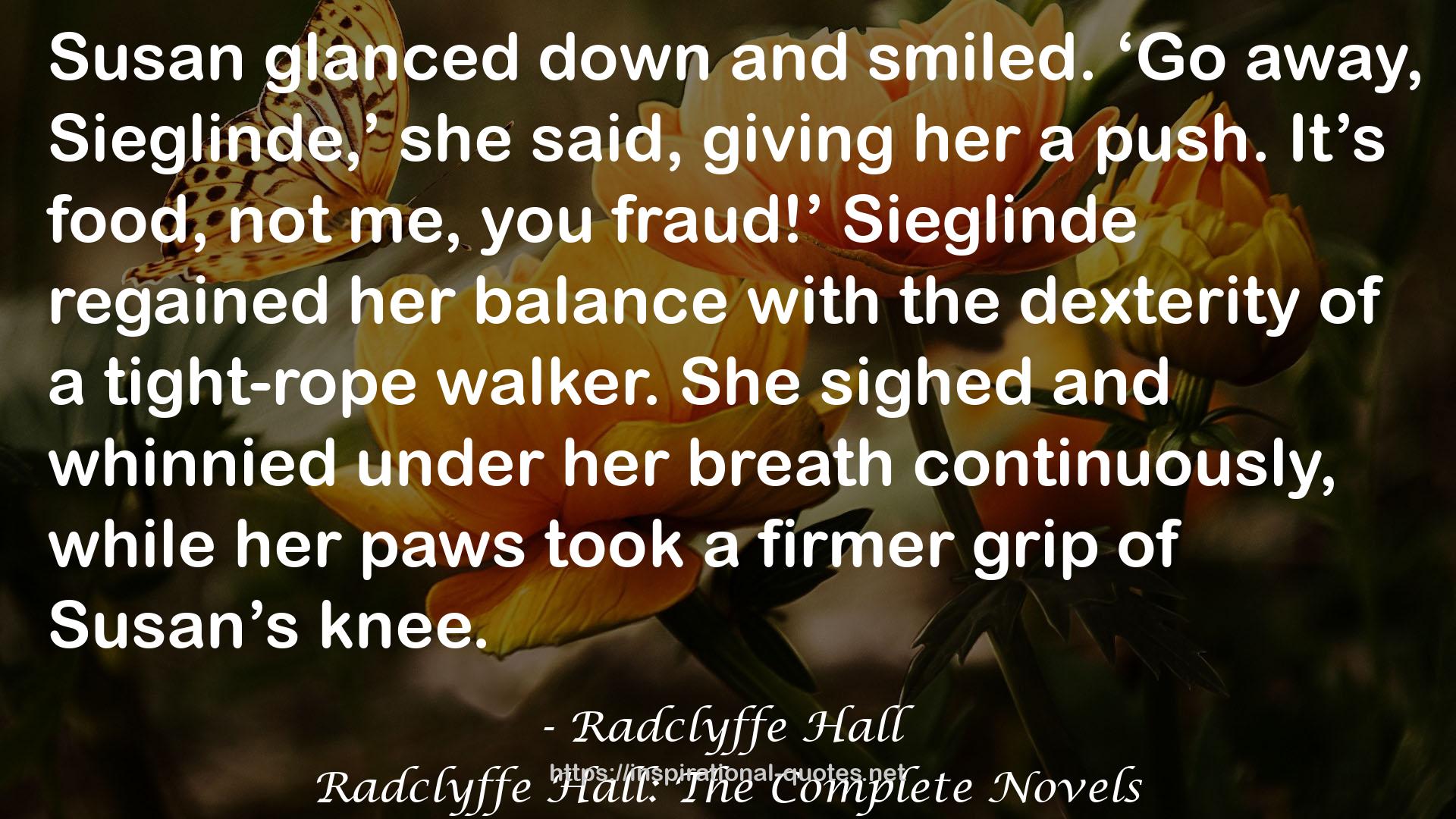 Radclyffe Hall: The Complete Novels QUOTES