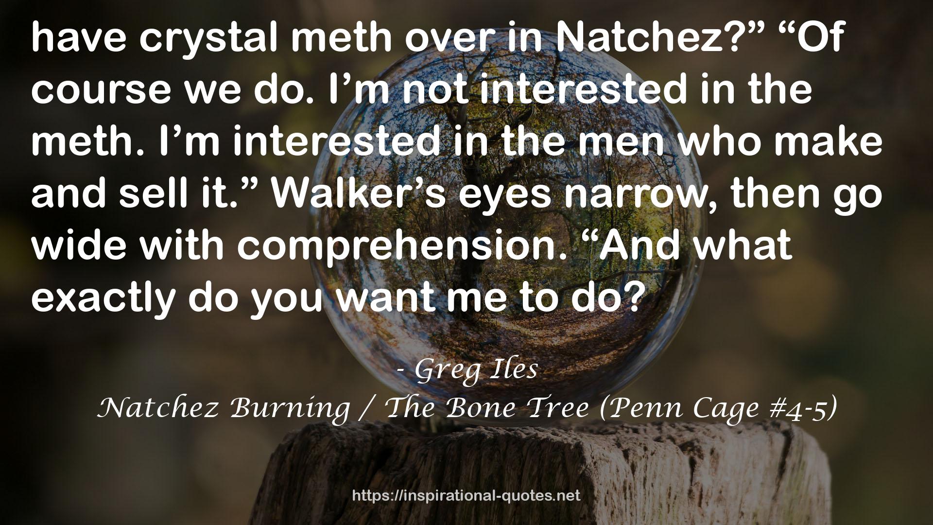 Natchez Burning / The Bone Tree (Penn Cage #4-5) QUOTES